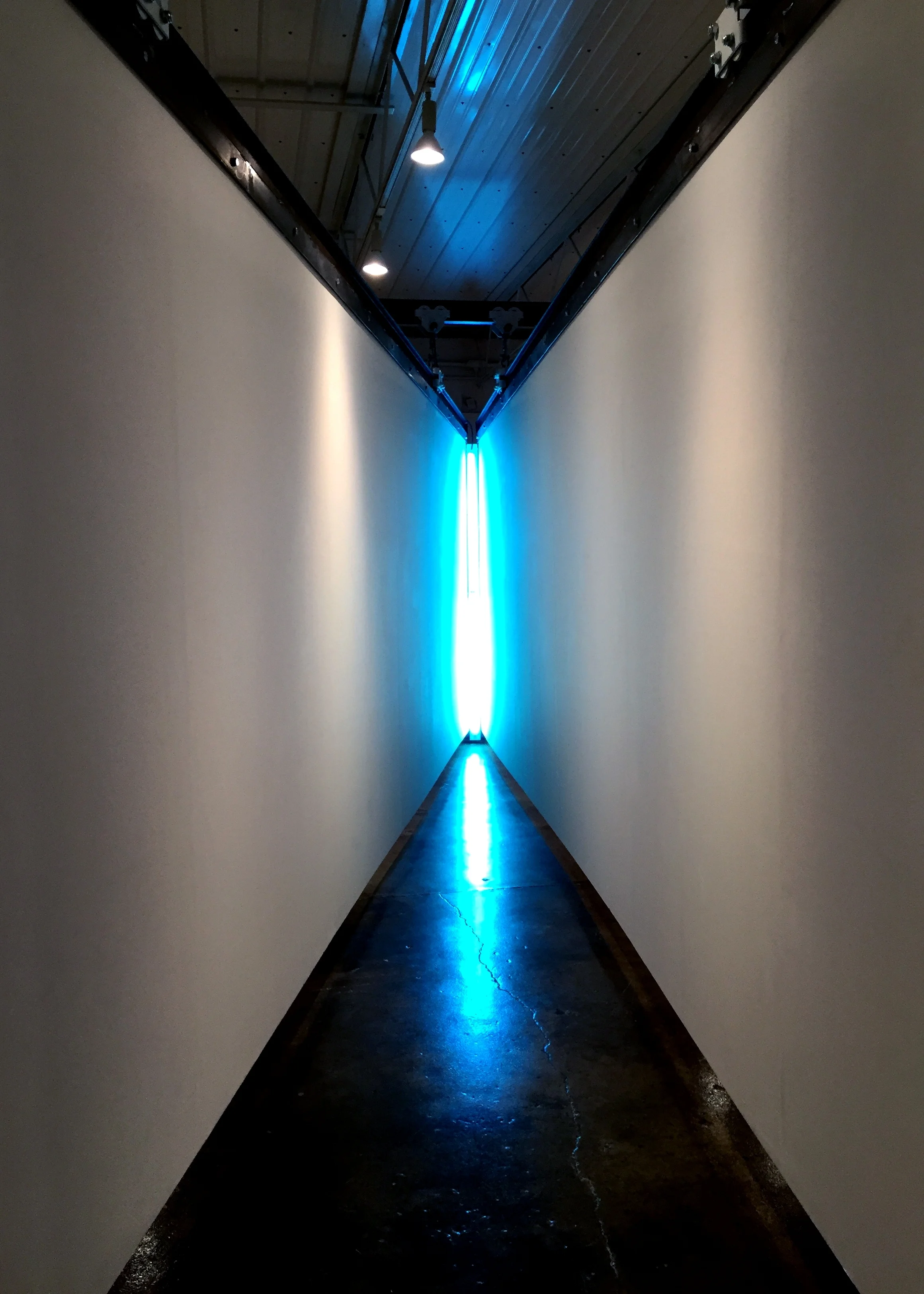 Untitled (Blue Light) installation shot