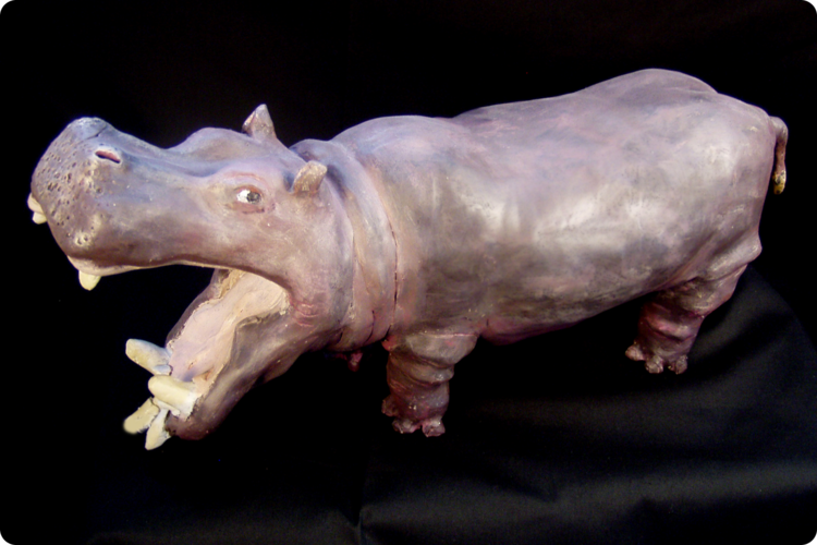 Hippo1.png