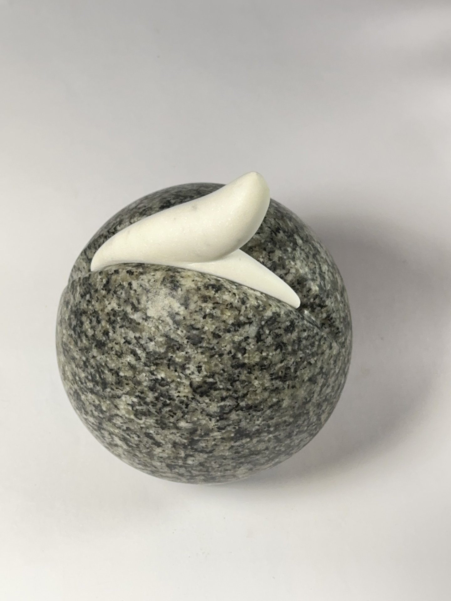 Seeds of perception.JPG