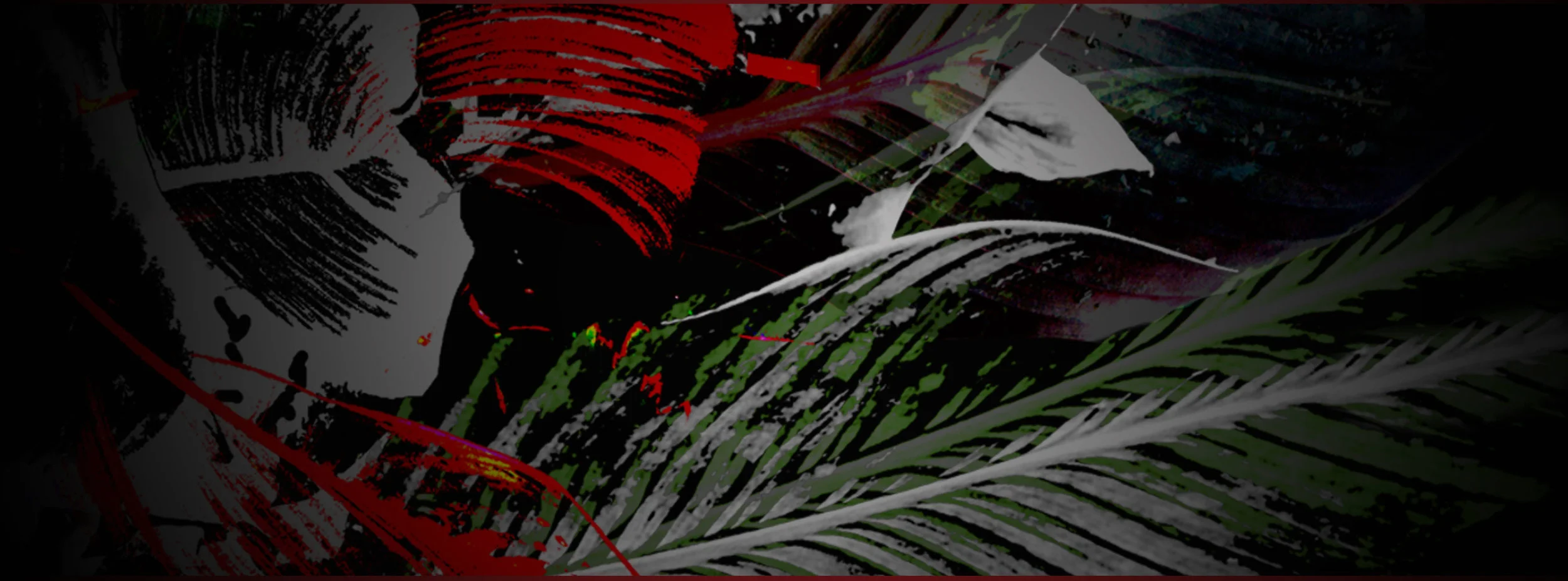HMPG_image_fade.jpg