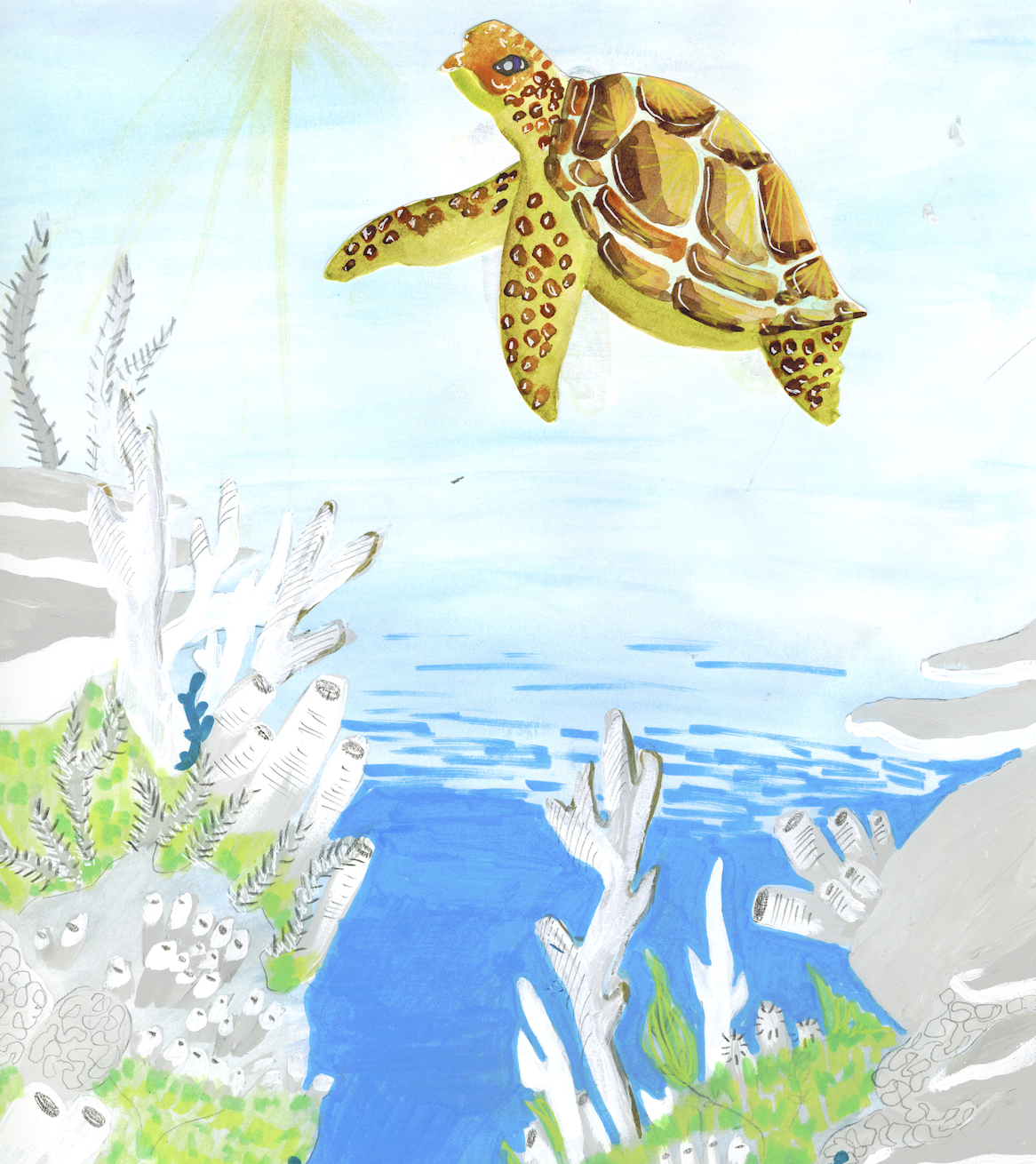 Screenshot 2026-03-12 at 2.34.54 PM.png