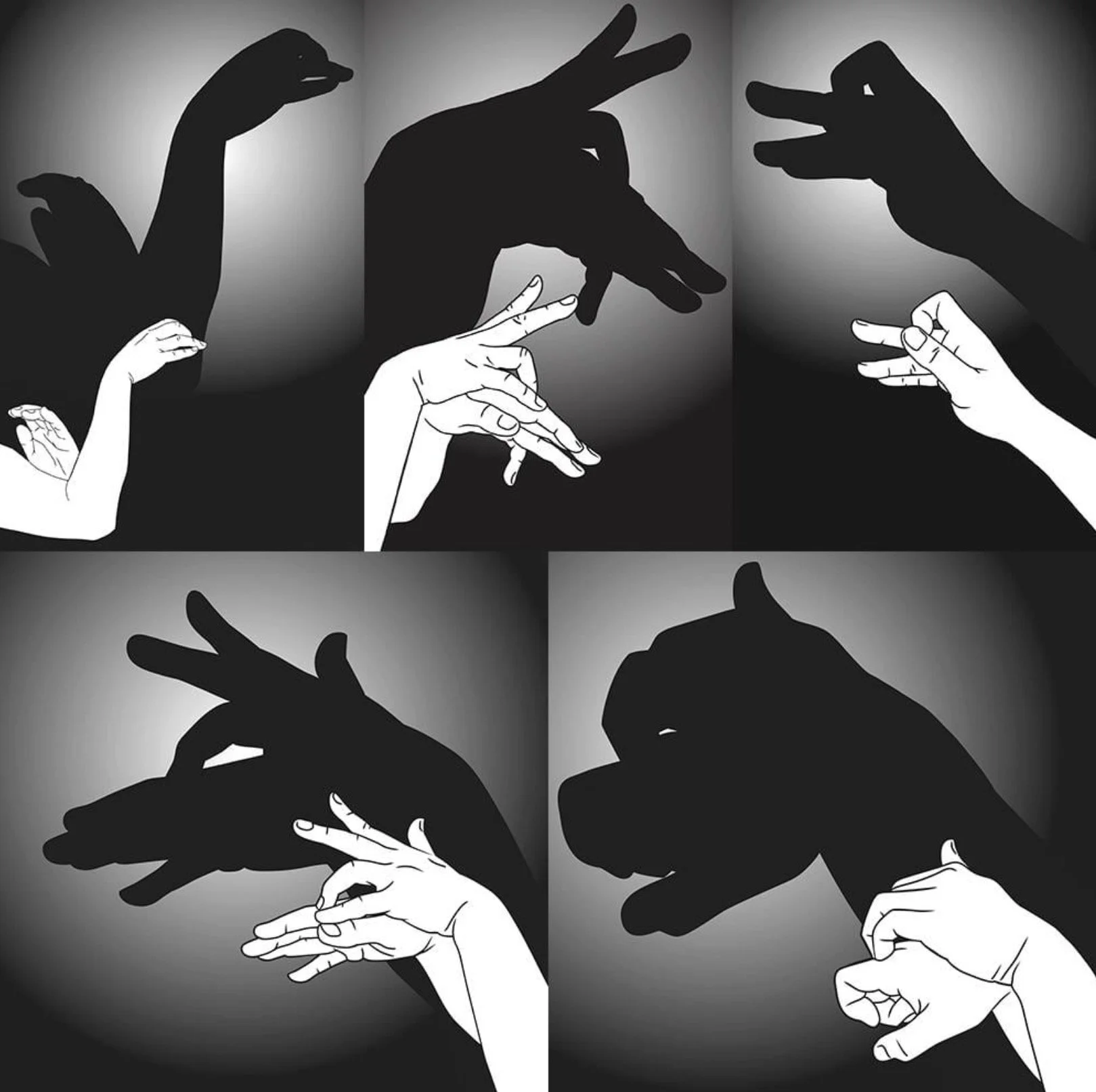Hand Sahdow Puppets.jpeg