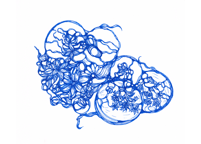 FlowerBubbles.png
