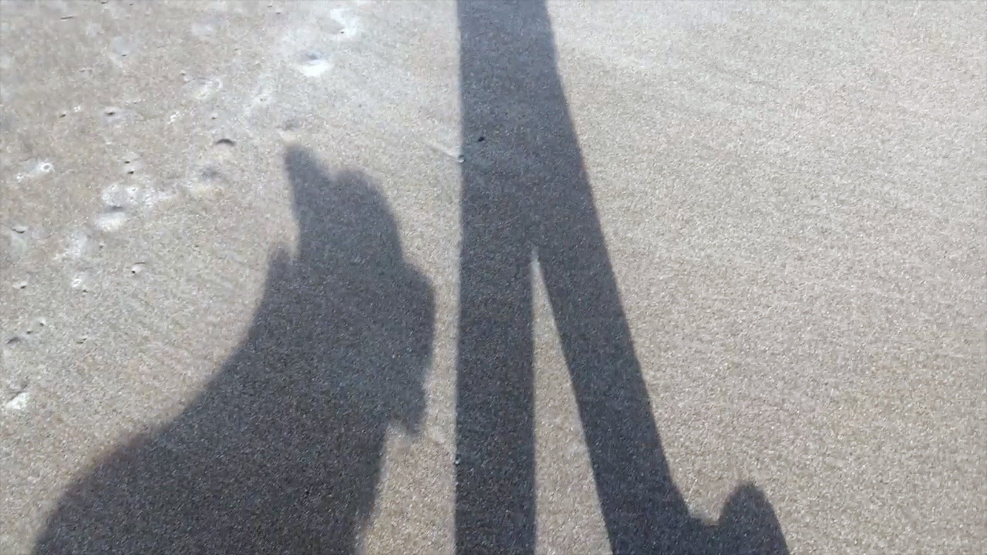 CK+H+Shadows+Walking.jpg