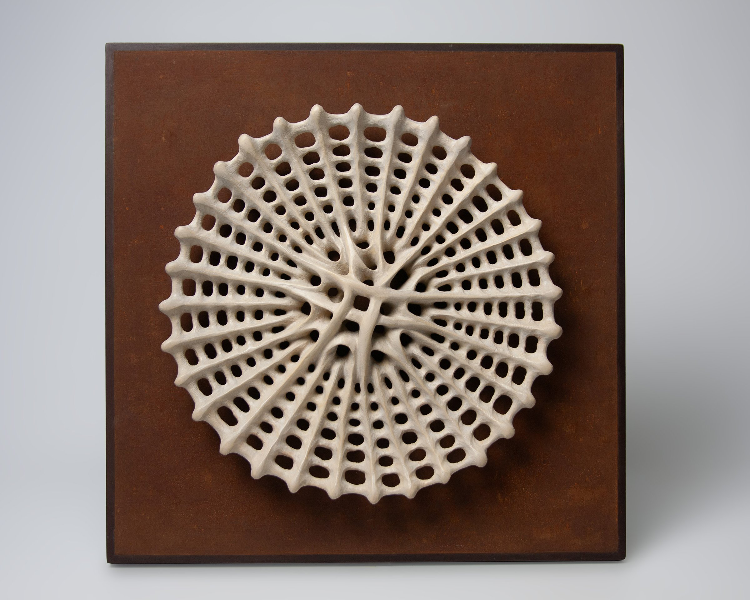 Diatom