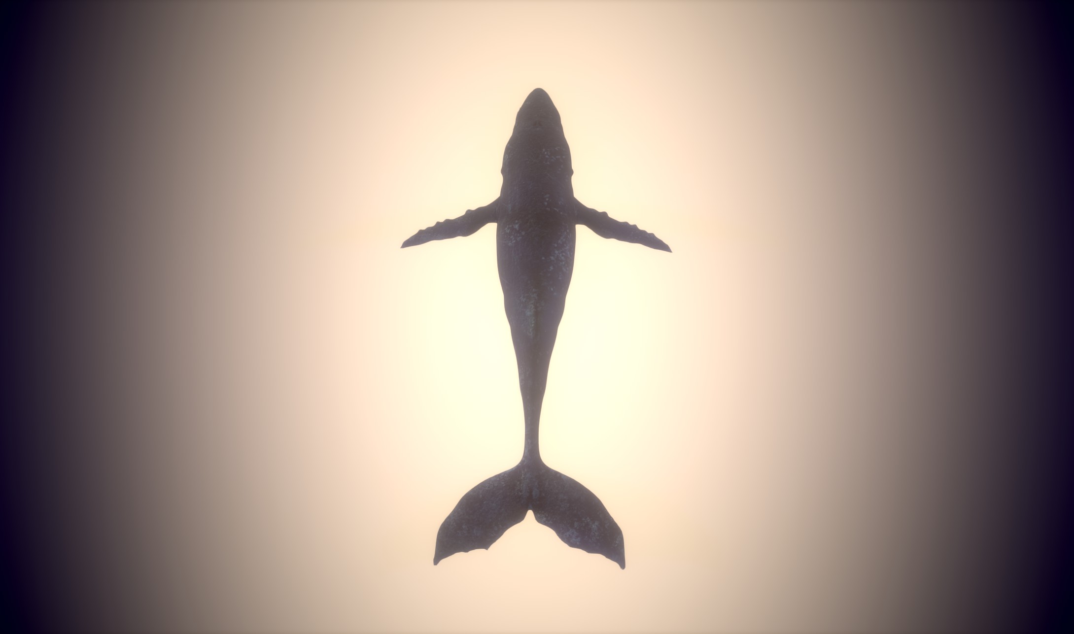 Still_Whale_Texture_05.jpg