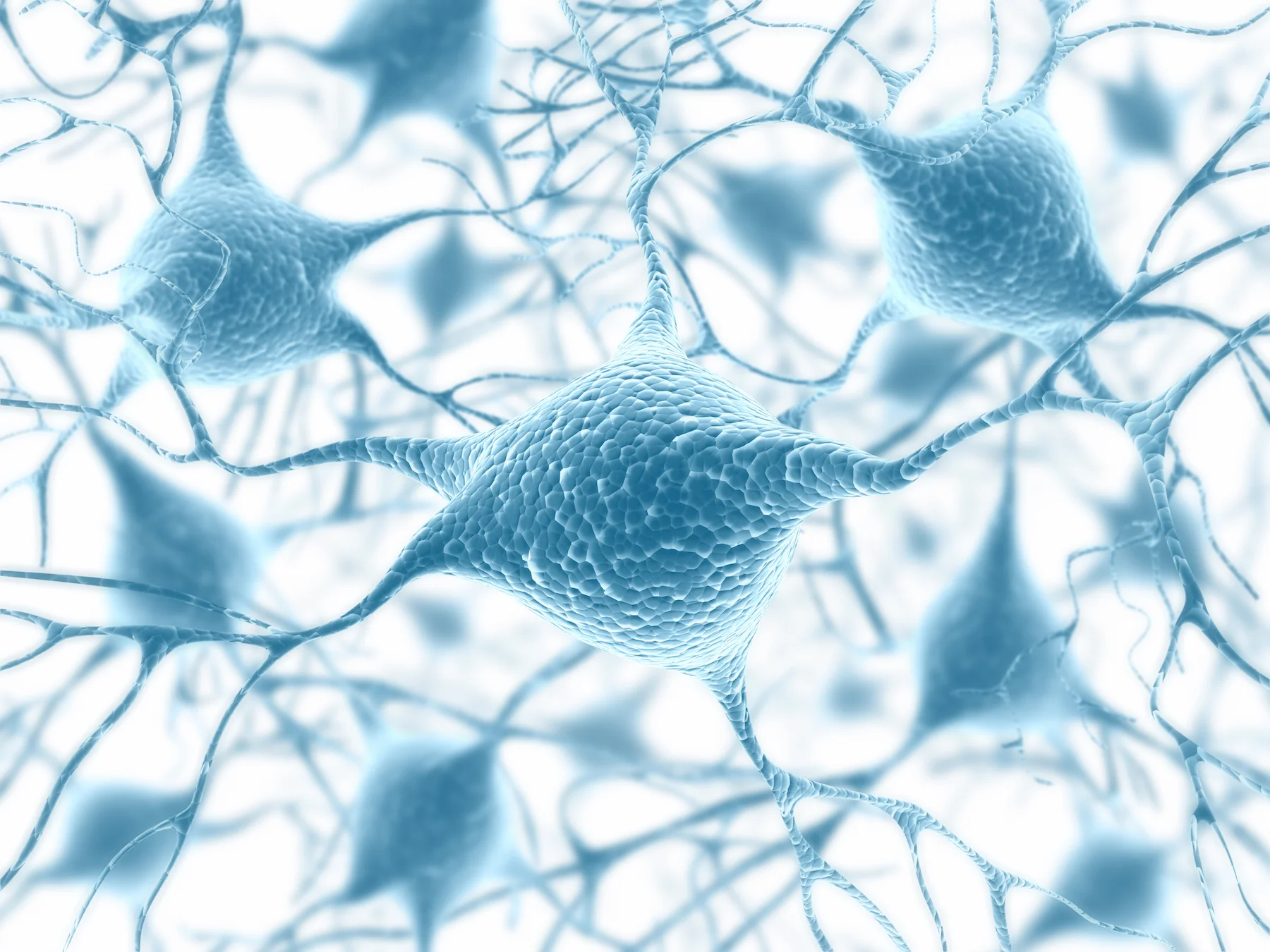 neurons.jpeg
