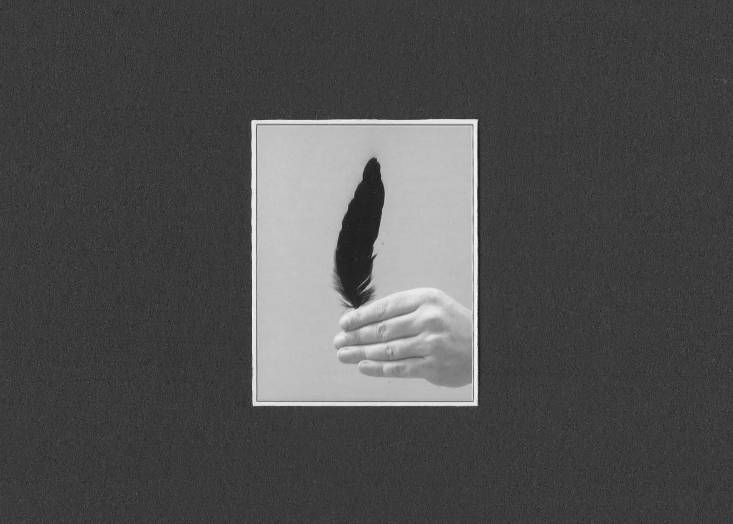 feather_landscape.jpg
