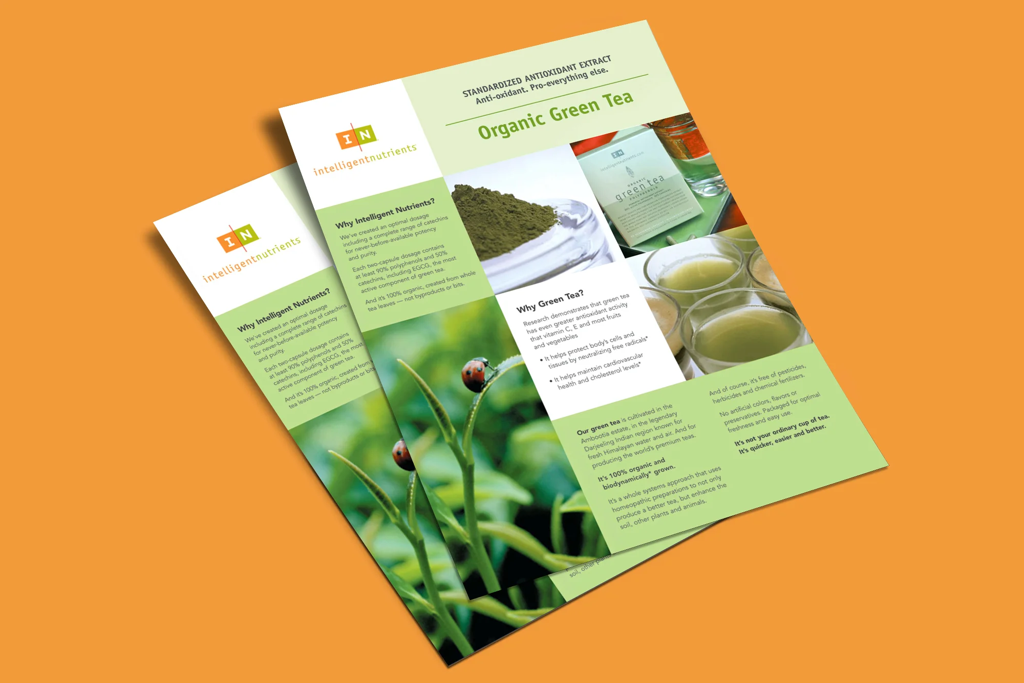 IN Flyers Mockup.jpg
