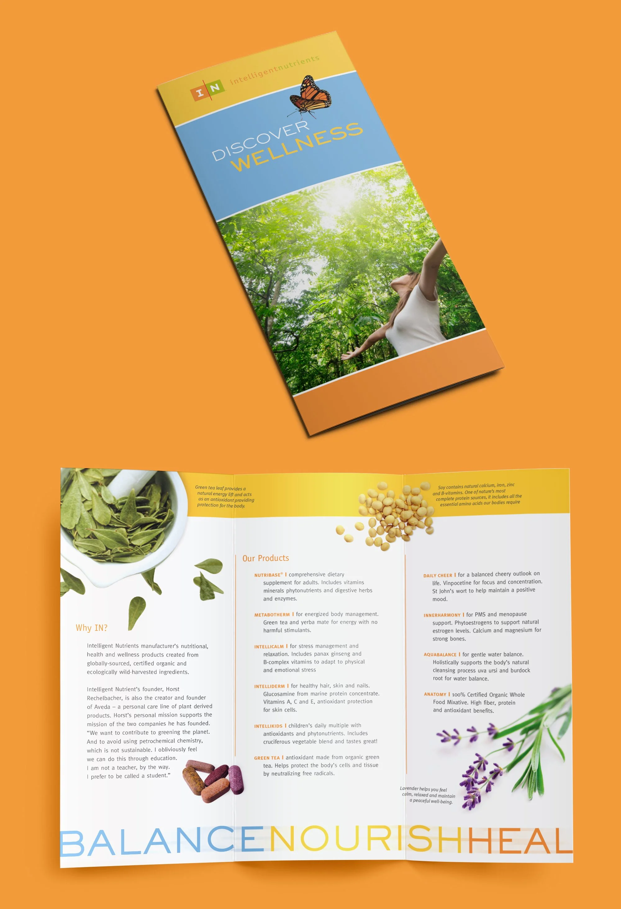 IN Brochure Cover Mockup_Final.jpg