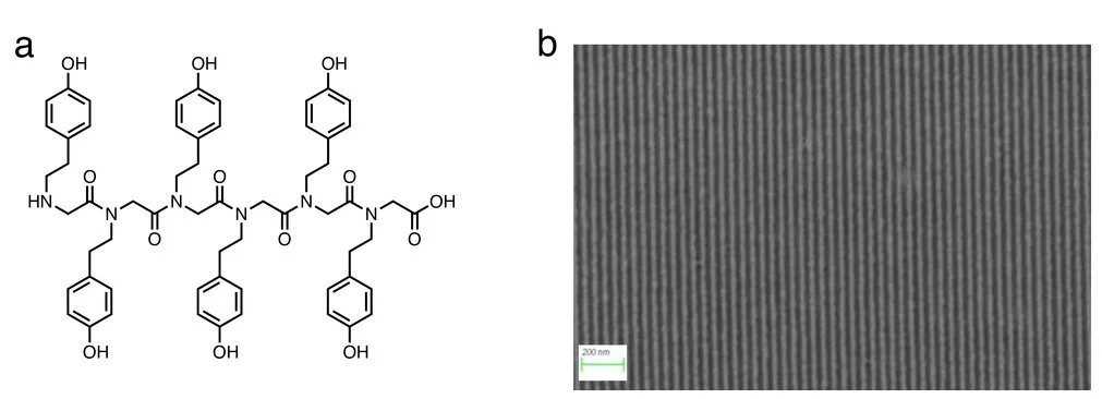 Figure from the article on sequence-defined polypeptoid resists for EUV lithography