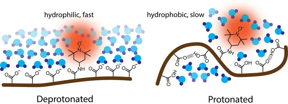 Graphical abstract for the article on charge dependence of local hydration dynamics in poly(acrylic acid) solutions