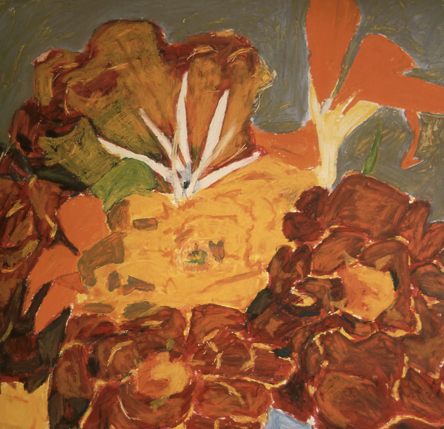 MARIGOLDS AND NASTURTIUMS