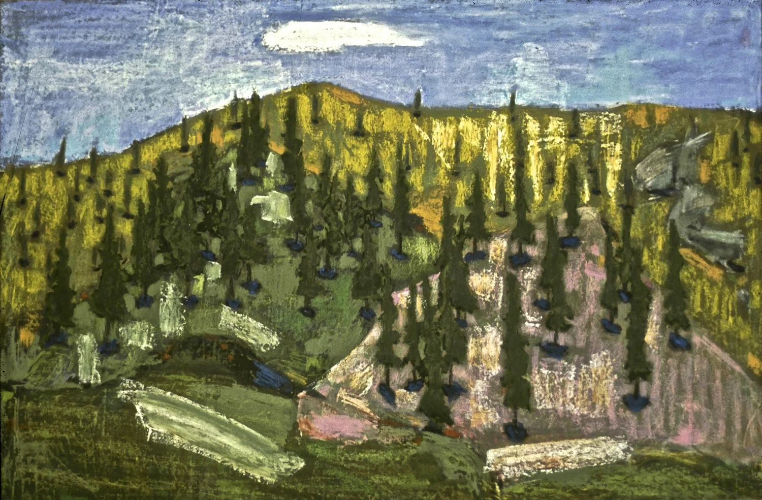 SUMMER HILLSIDE