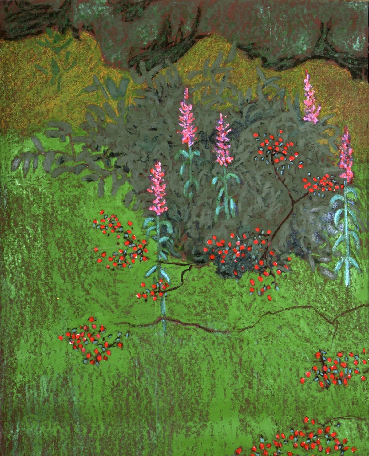 FIREWEED AND SARVIS BERRIES