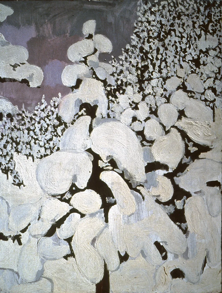 WINTER TREES