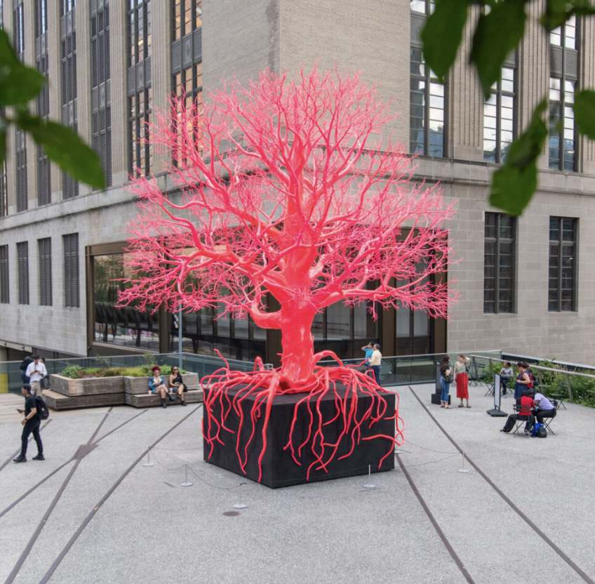 Trees, Blood, and Circulatory Systems: A Poetry Reading by Old Tree