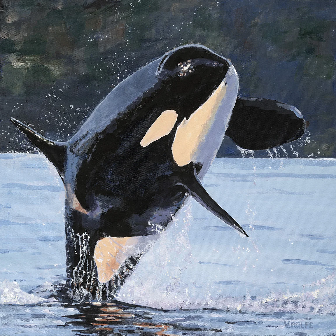 Salish Sea Splash