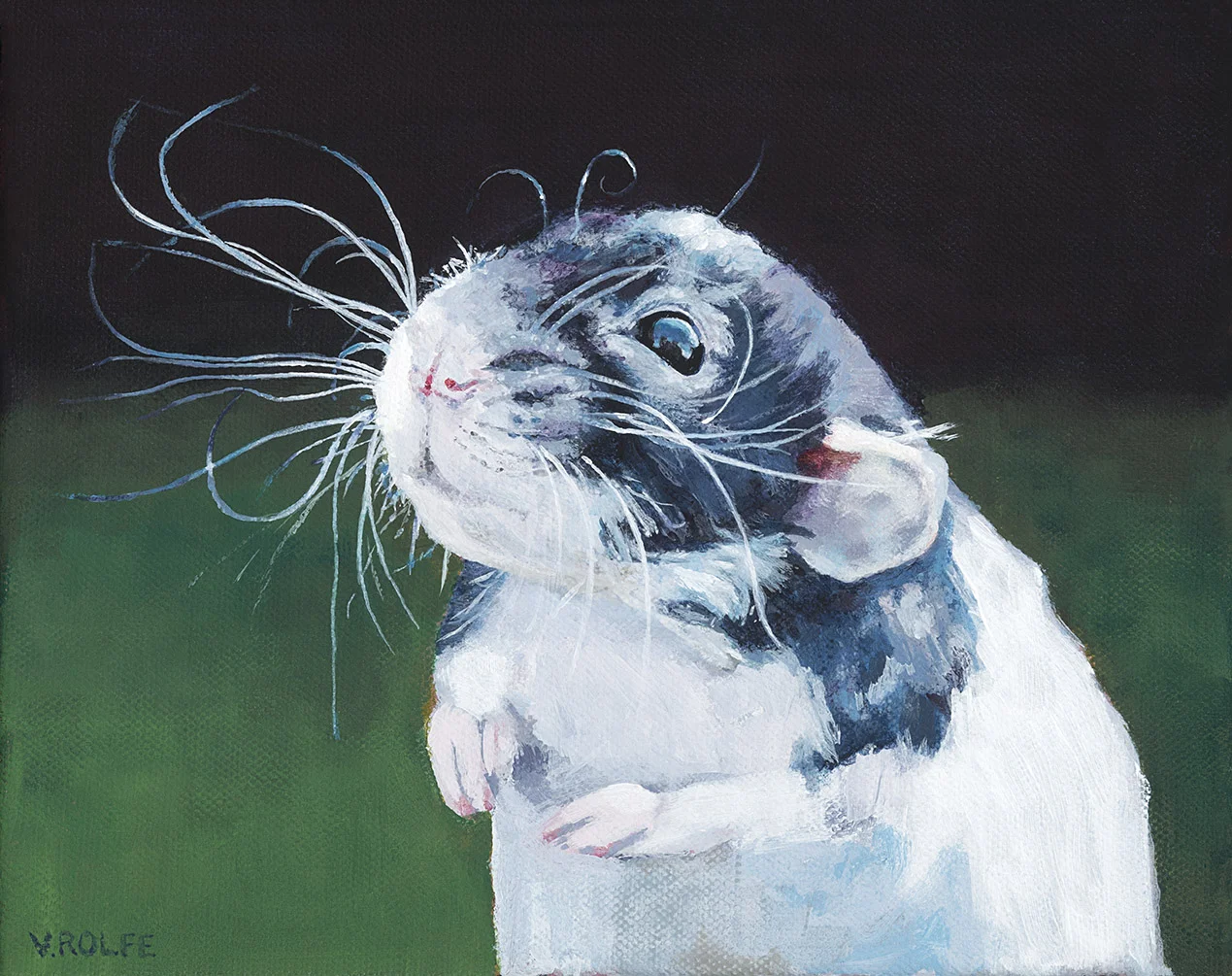 Rat's Whiskers
