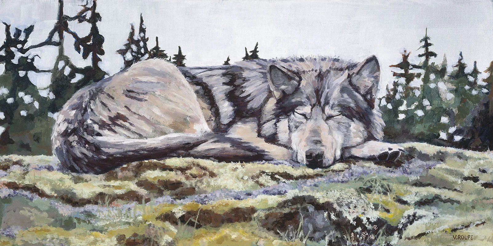 Takaya Nap