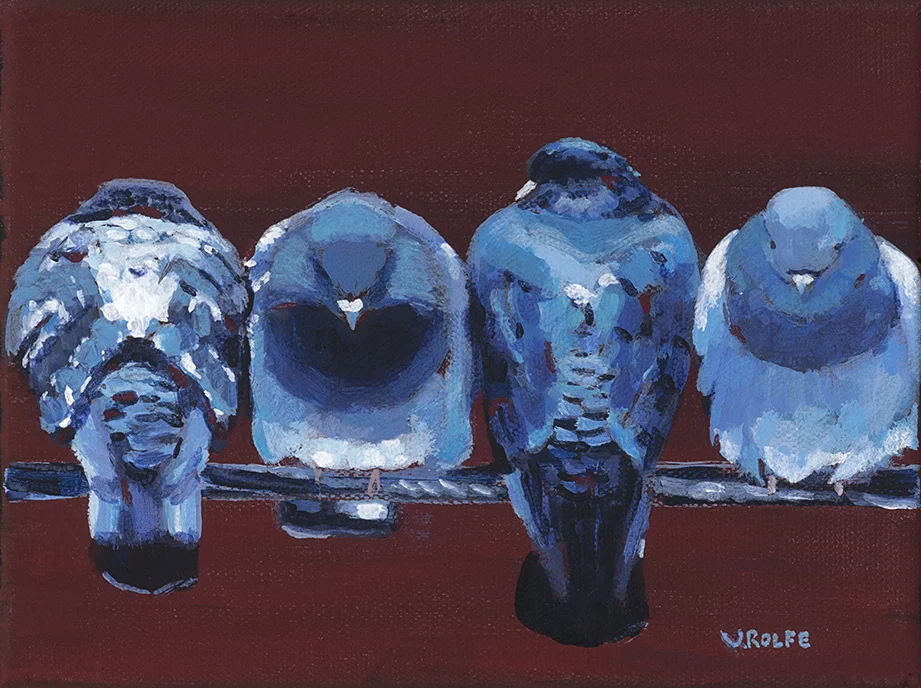 Birds on a Wire