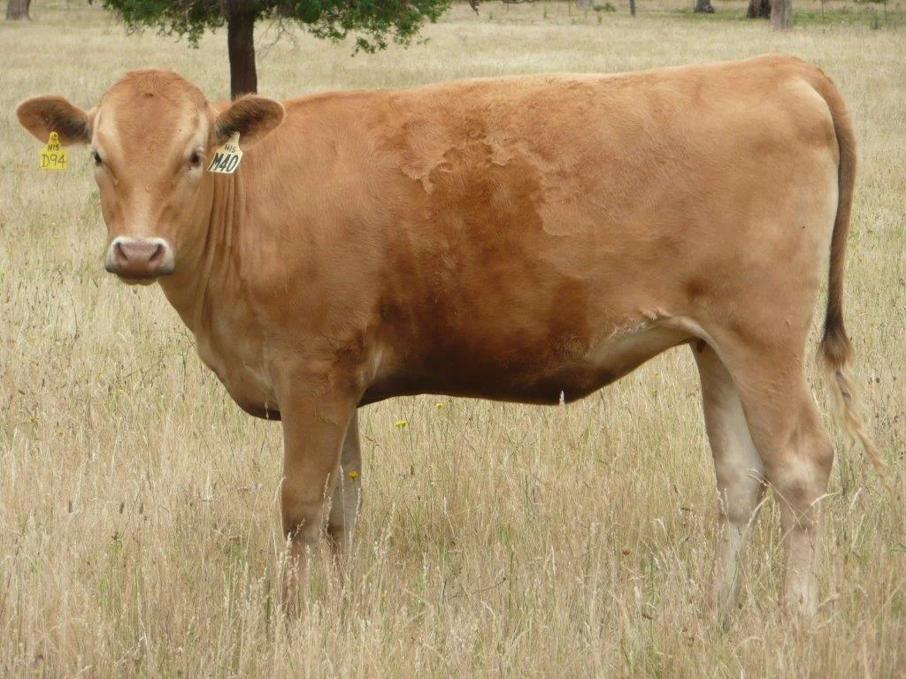 AWSPM0040.jpg