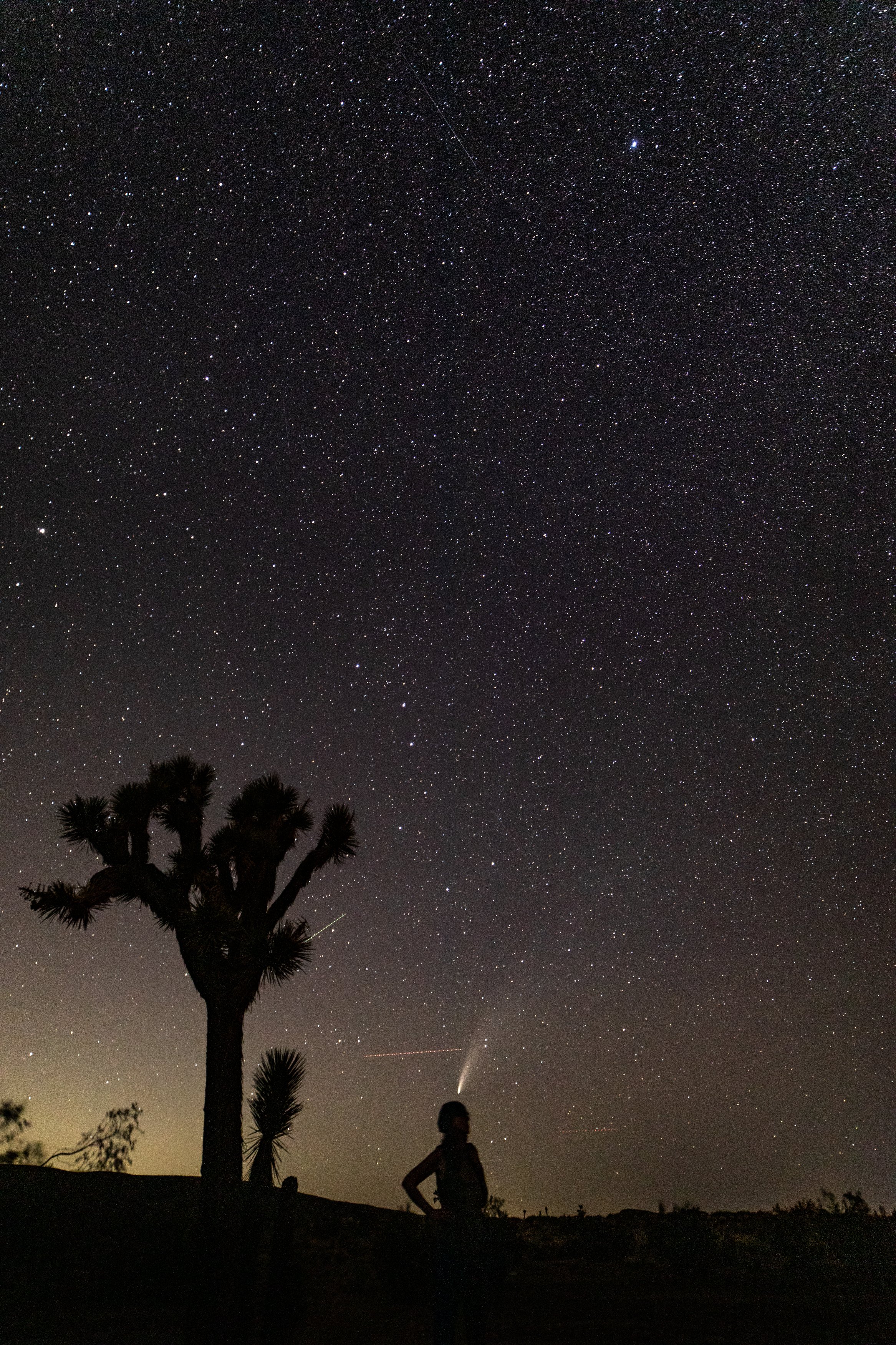 comet NEOWISE, 2020