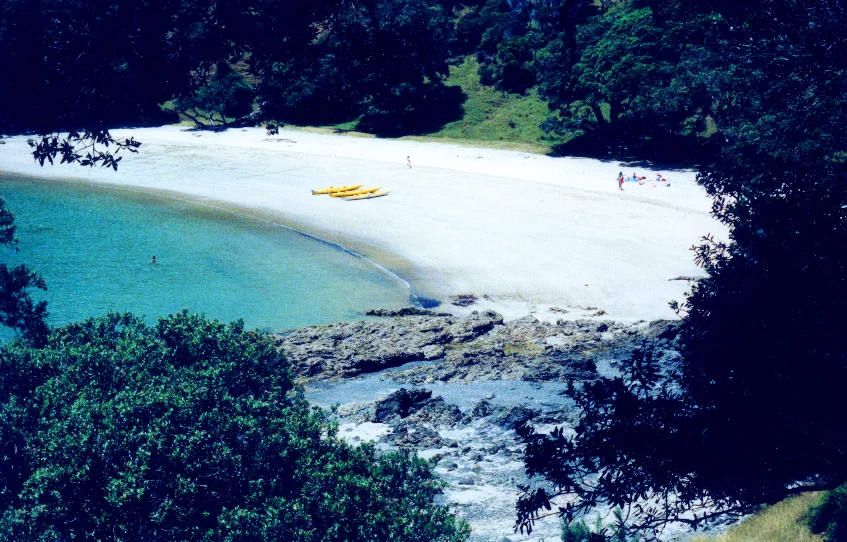 Customised Group Trips