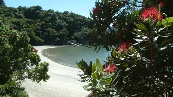 oneroa hook resize.JPG