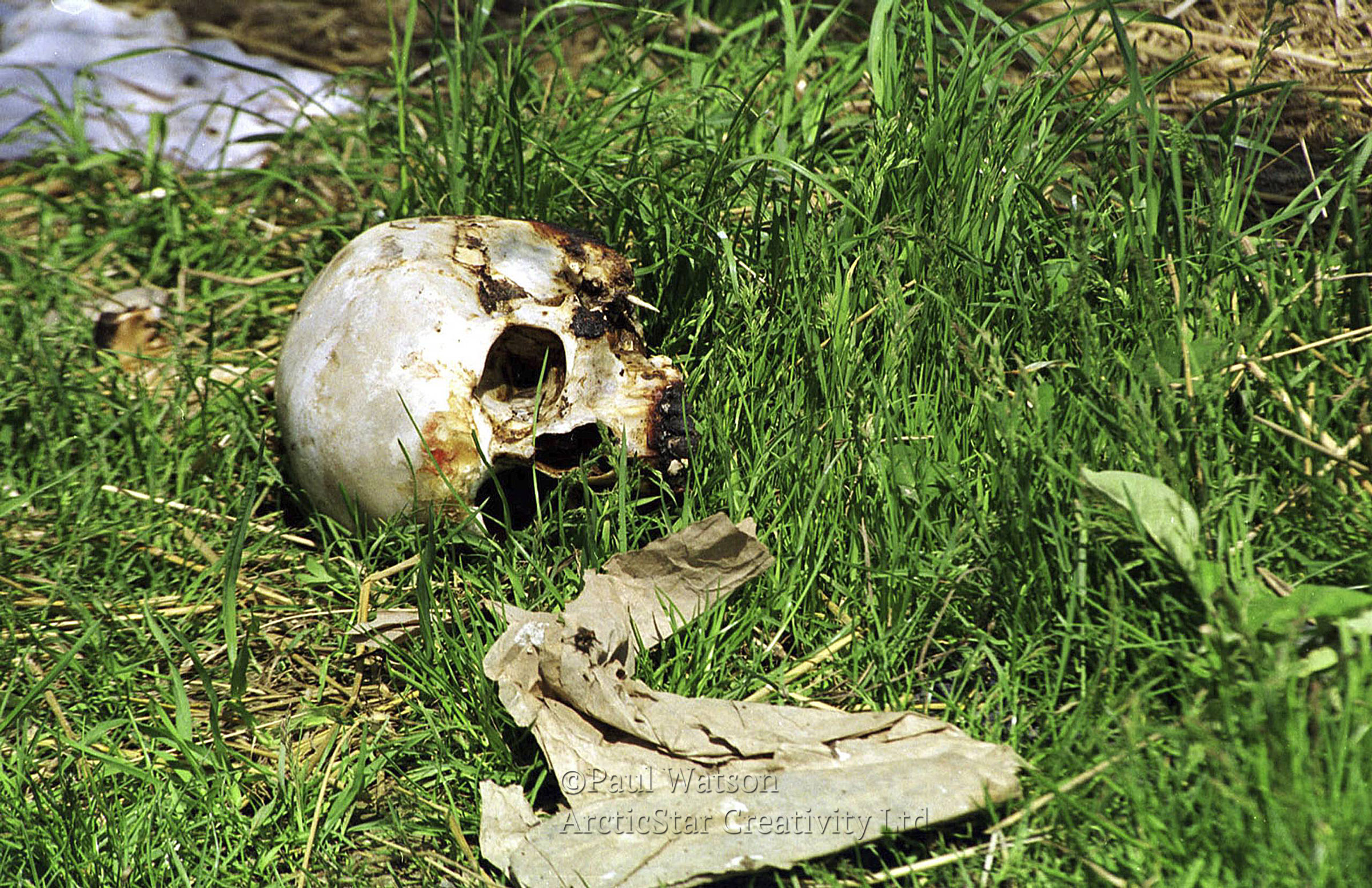 Web war Crime Svetlje.jpg