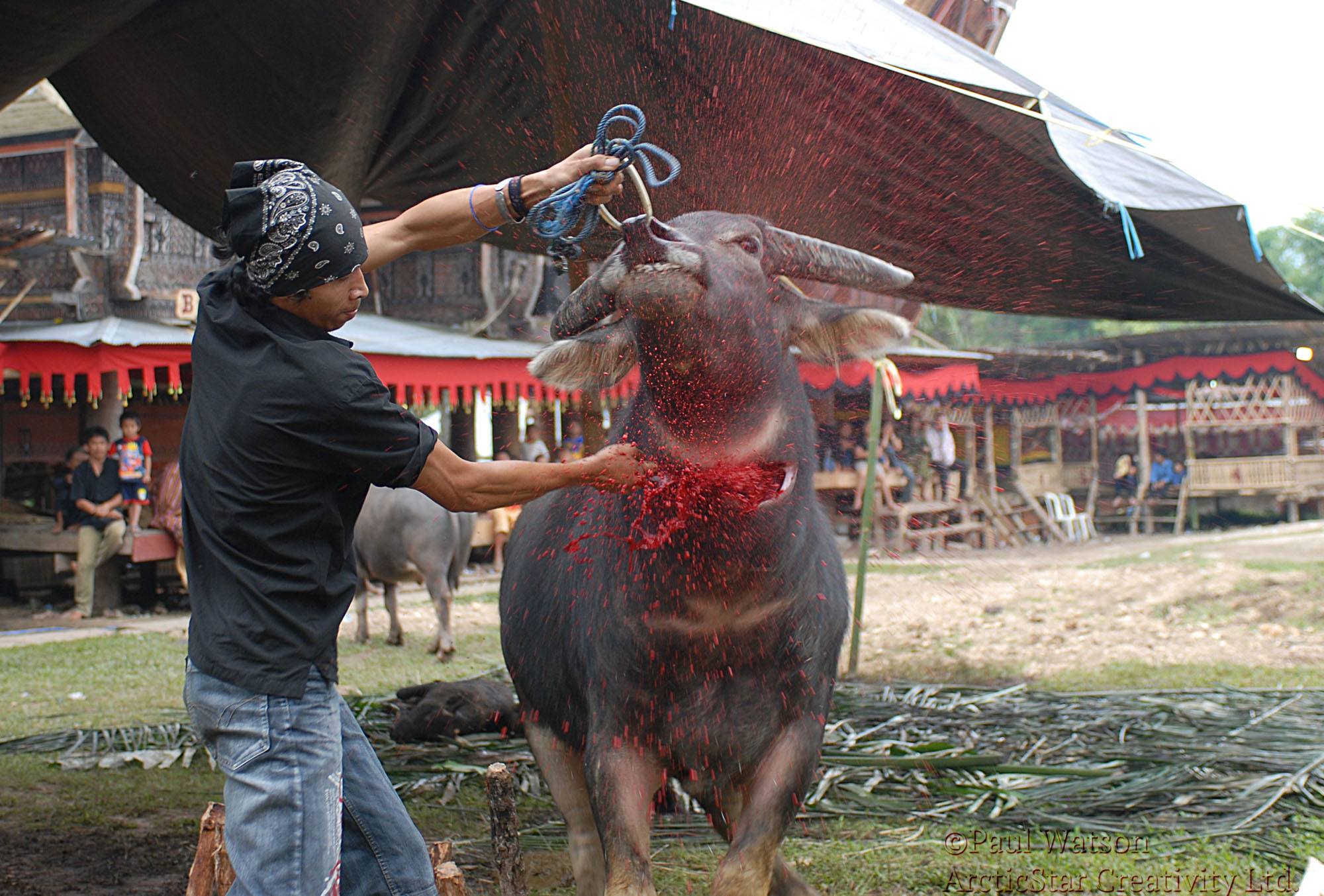 The Execution