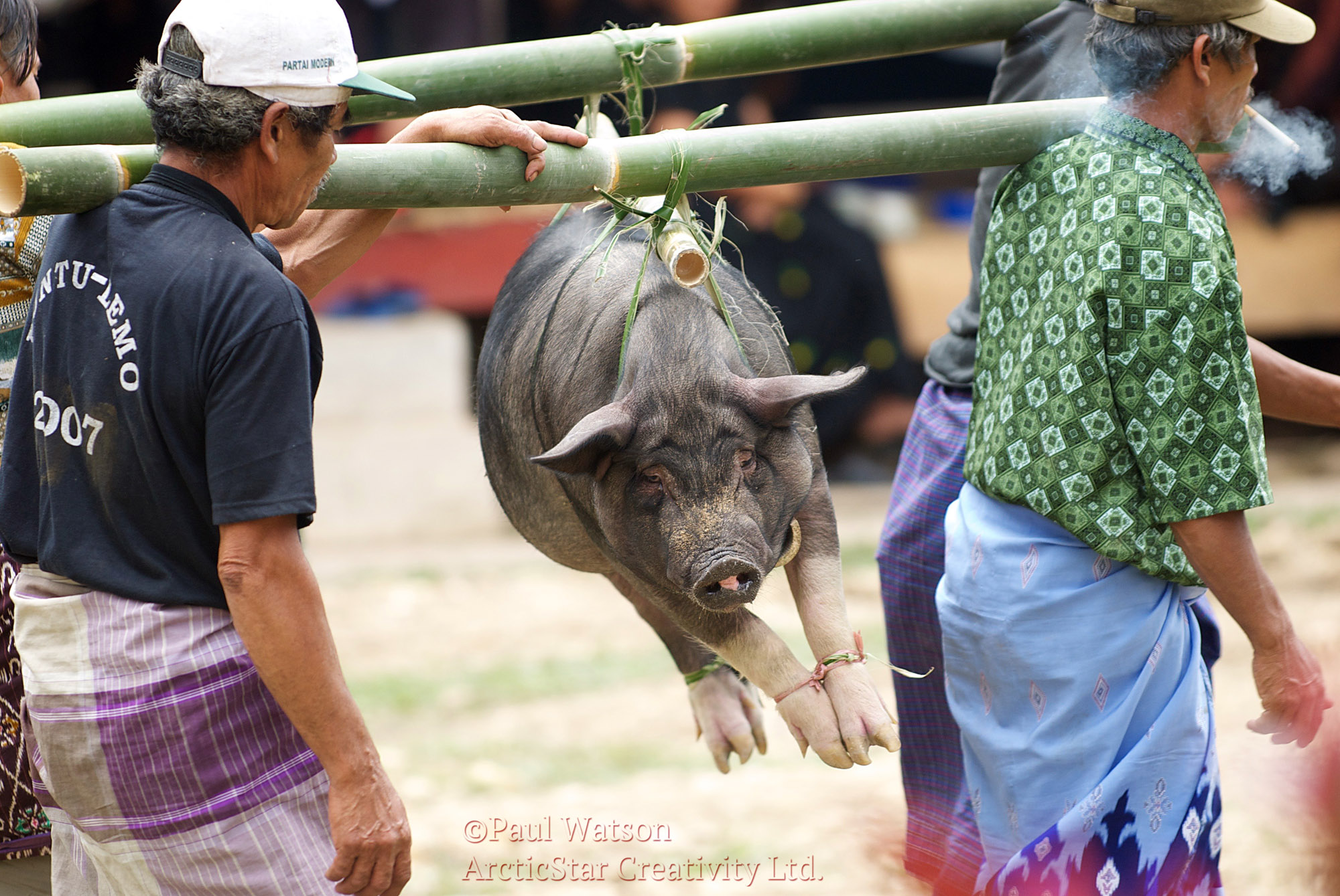 Pork On a Stick