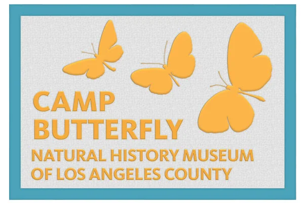 Camp-Butterfly.jpg