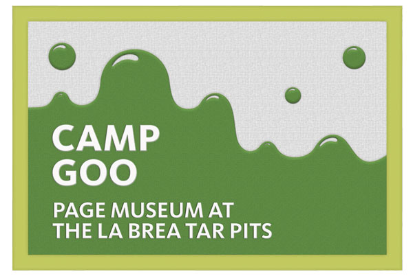 Camp-Goo.jpg