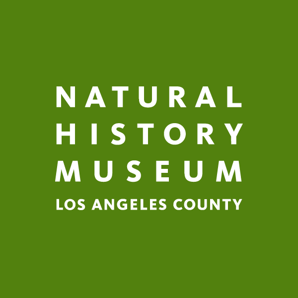 WEBSITE TILES-07.png