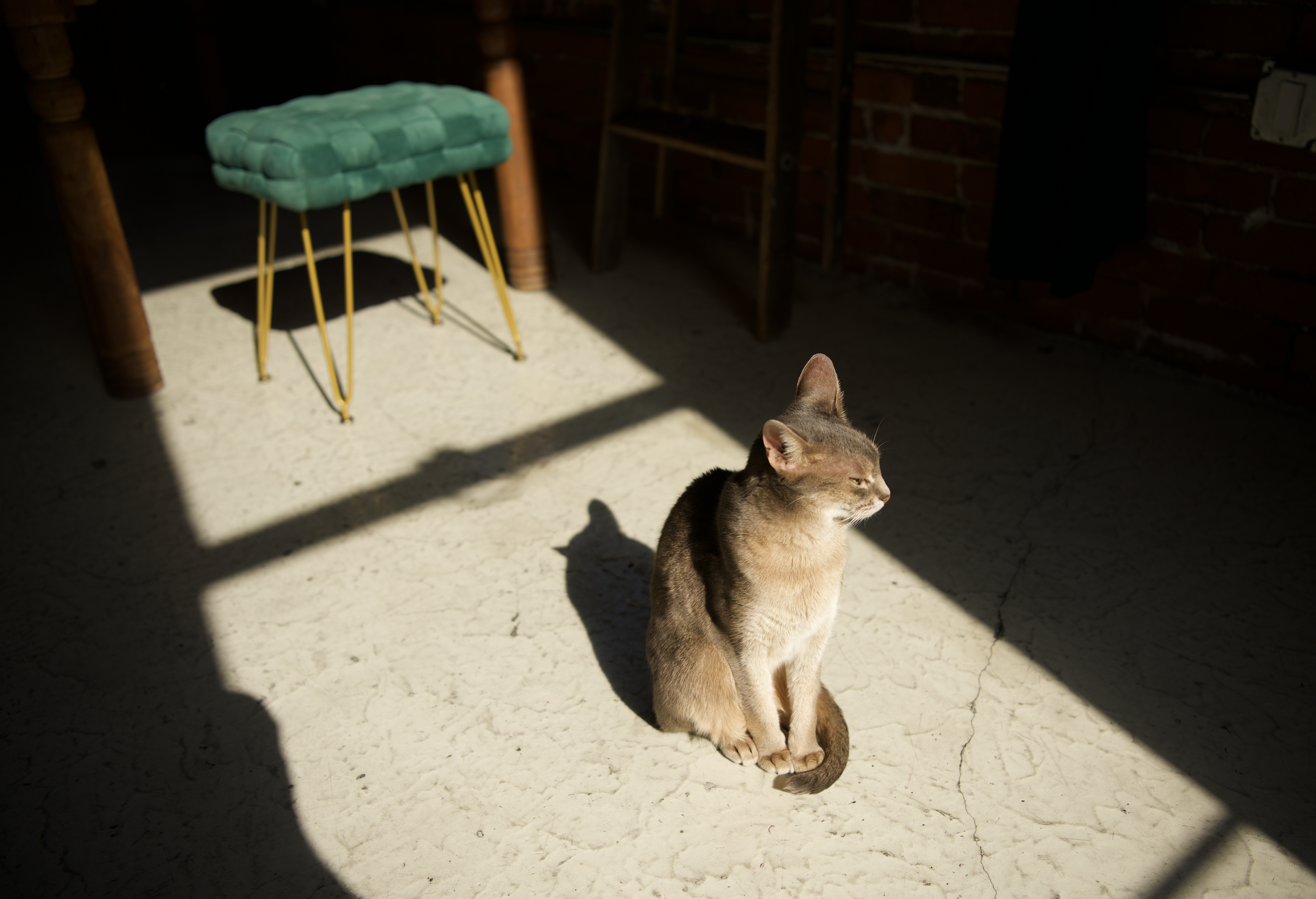 Screen Shot 2026-04-03 at 6.33.33 PM.png