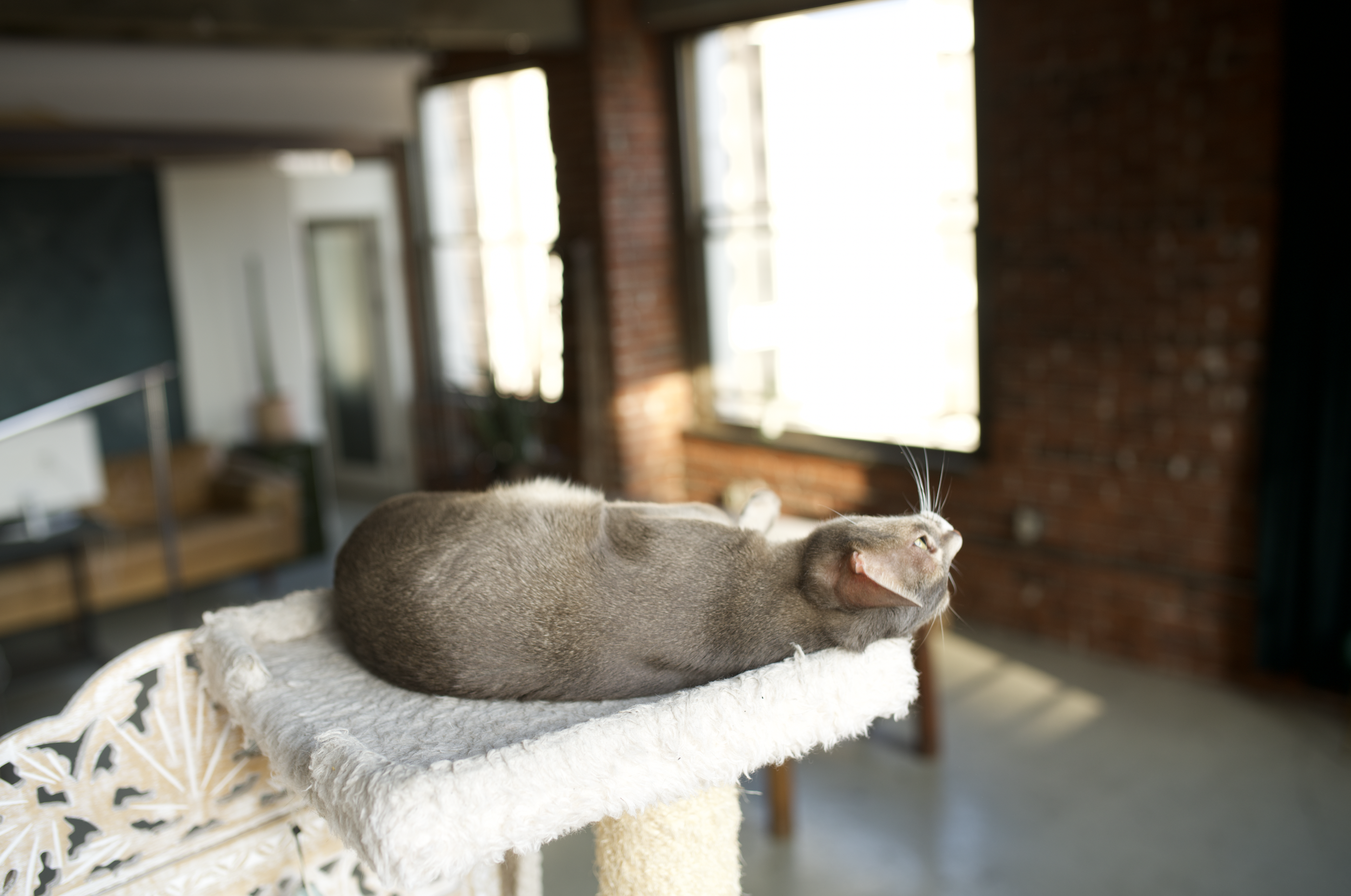 Screen Shot 2026-04-03 at 6.52.38 PM.png