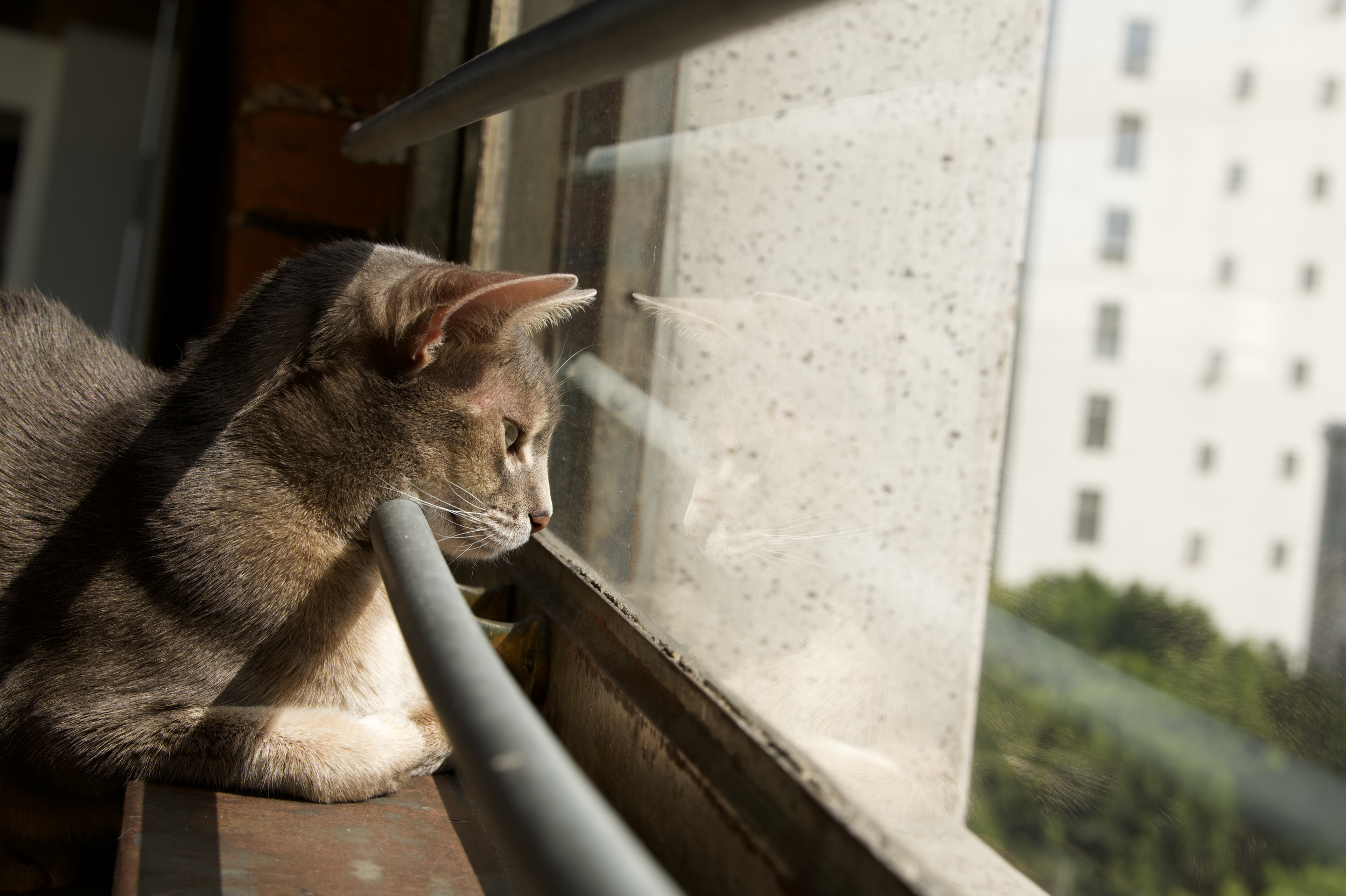 Screen Shot 2026-04-03 at 6.50.06 PM.png