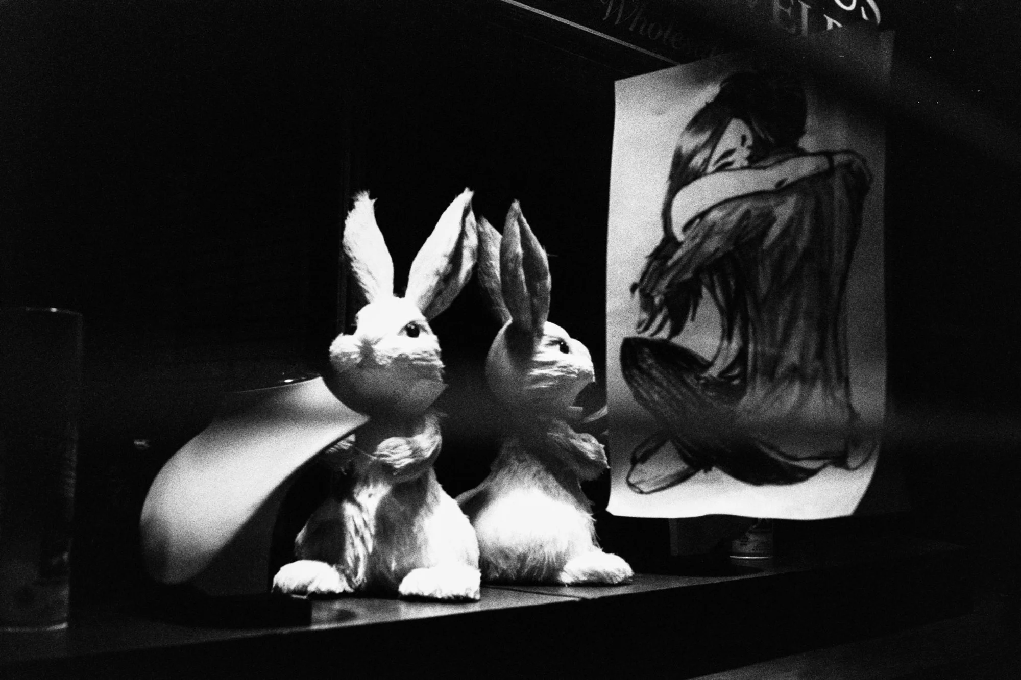 film-58.jpg