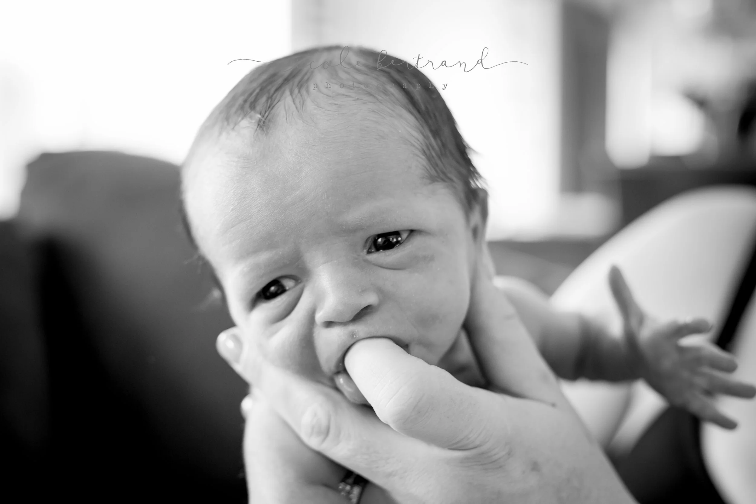 LeBlanc Newborn WEB-1.jpg