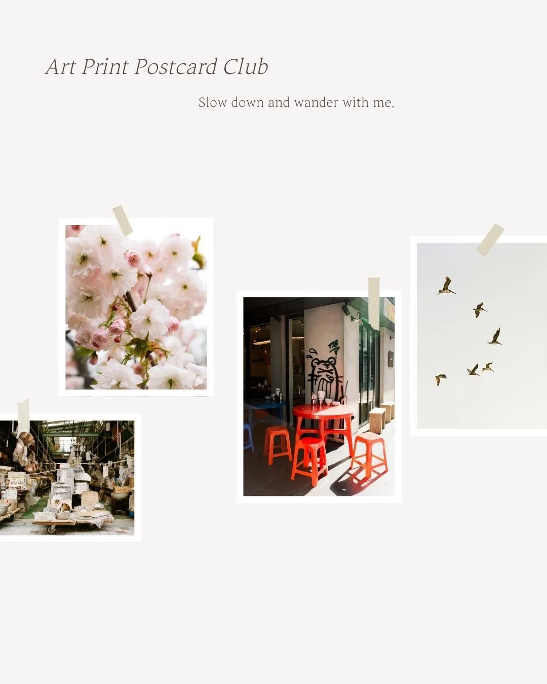 Art Print Postcard Club (3 postcards - February, April, June 2026)