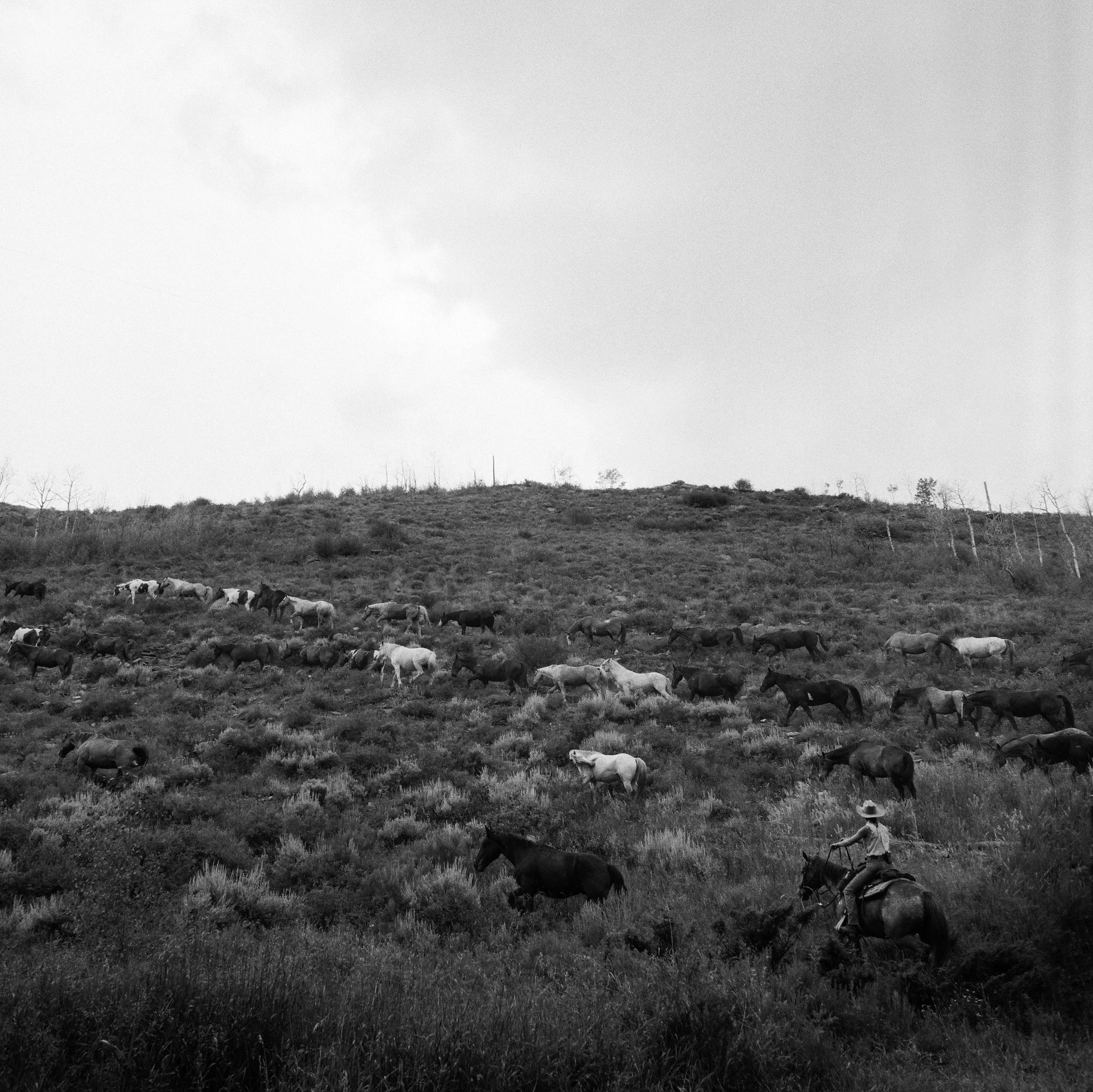 717640010004-2.jpg