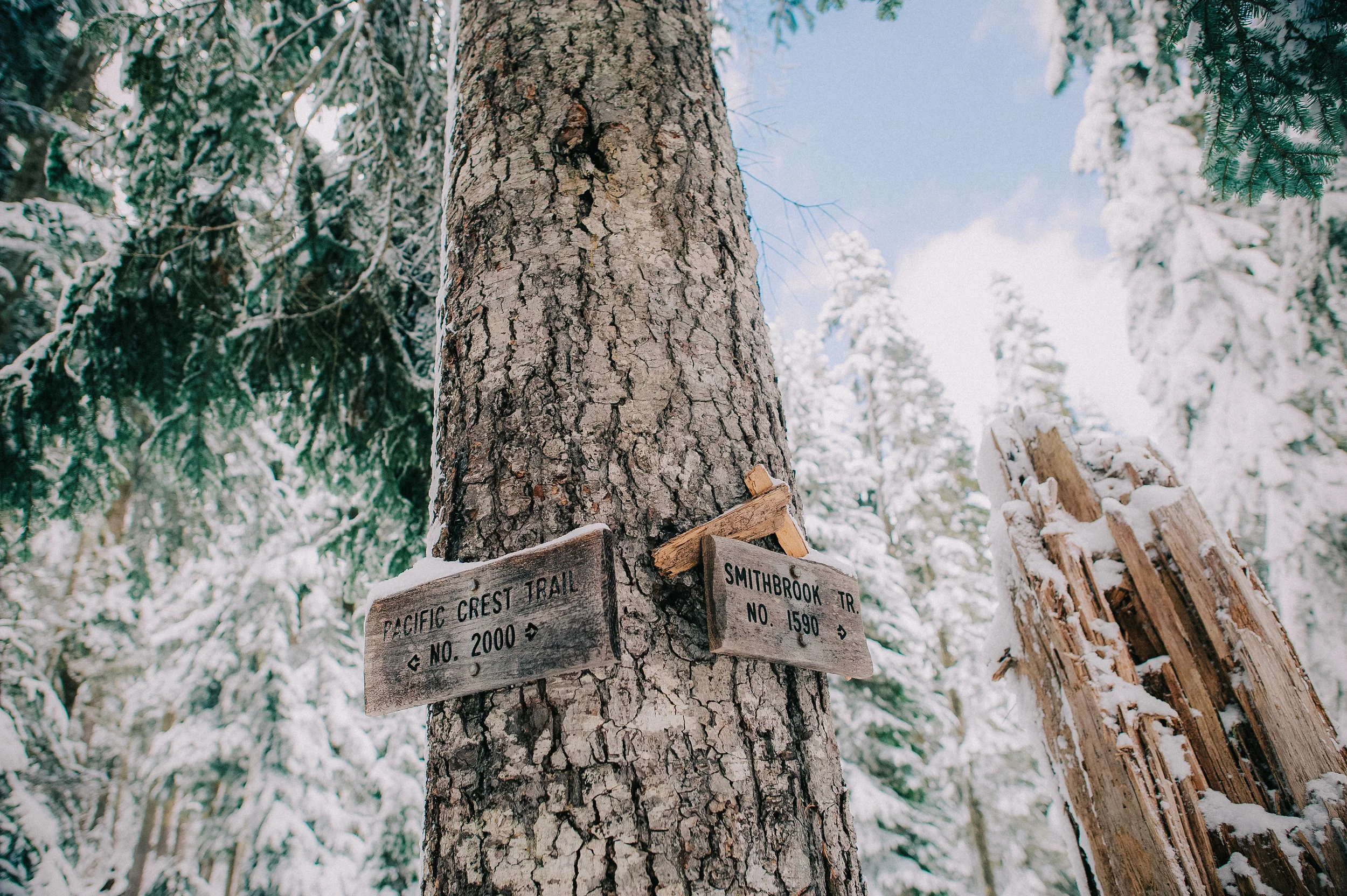The very first time I was on the PCT on the Mount McCausland trail, October 2012