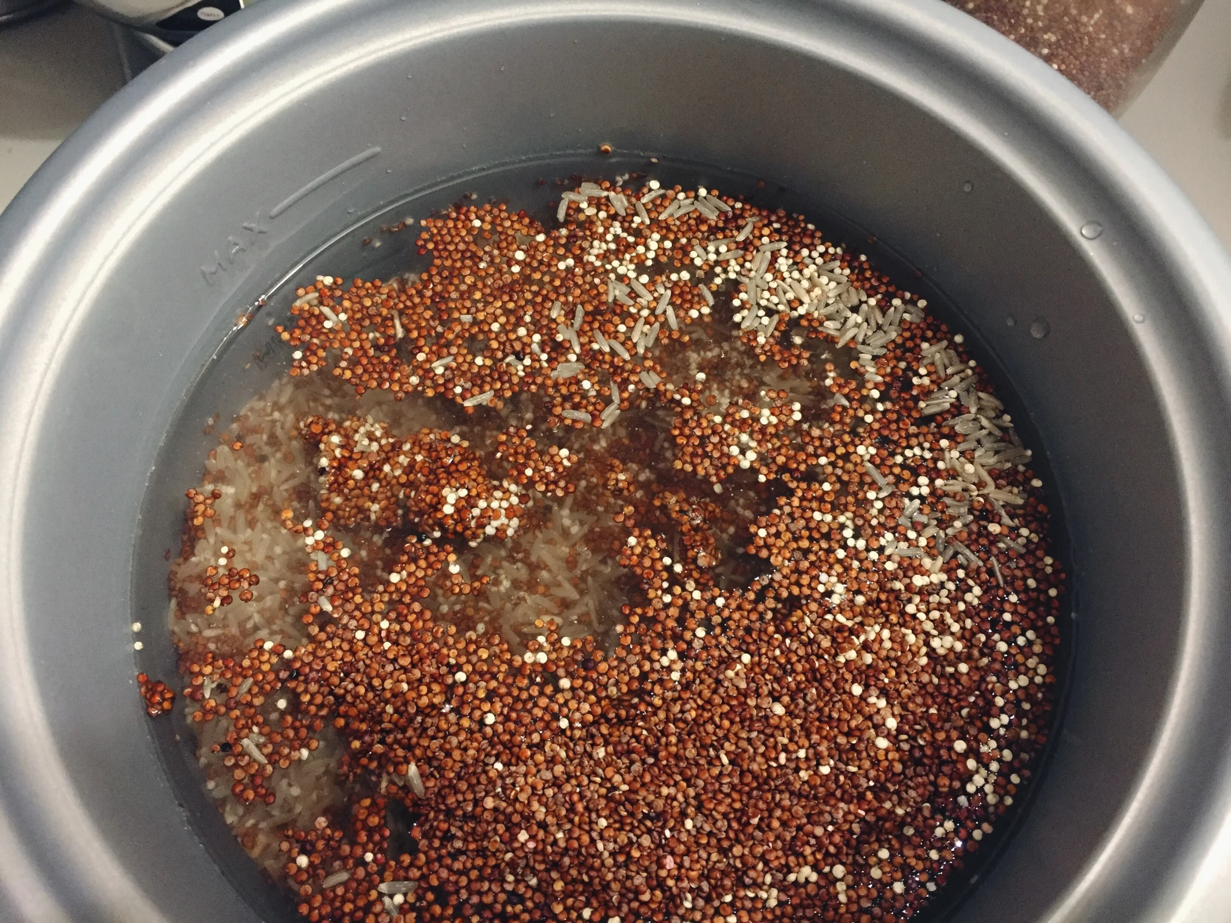 Pre-cooking the rice/quinoa will help it rehydrate quicker.