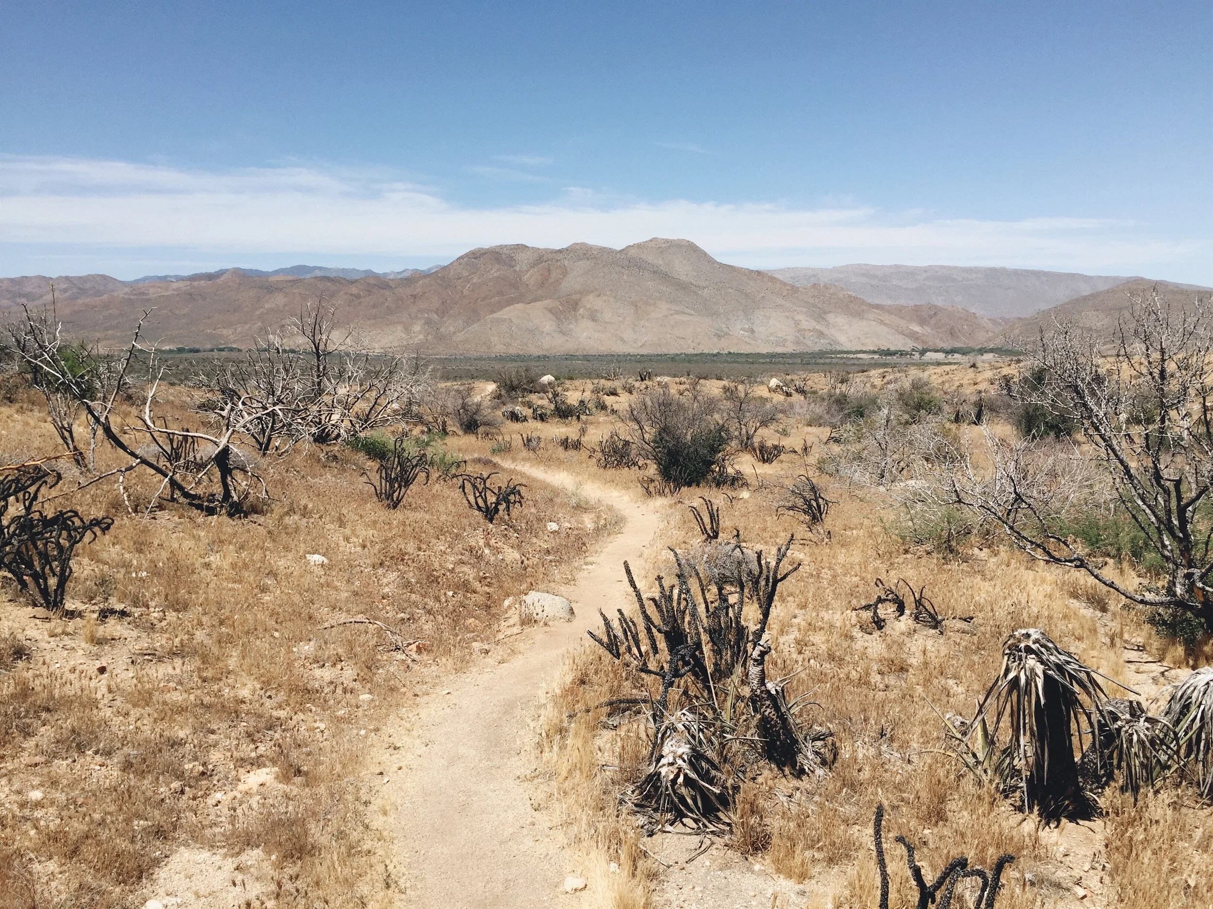 The long flat stretch to our road crossing to Julian.