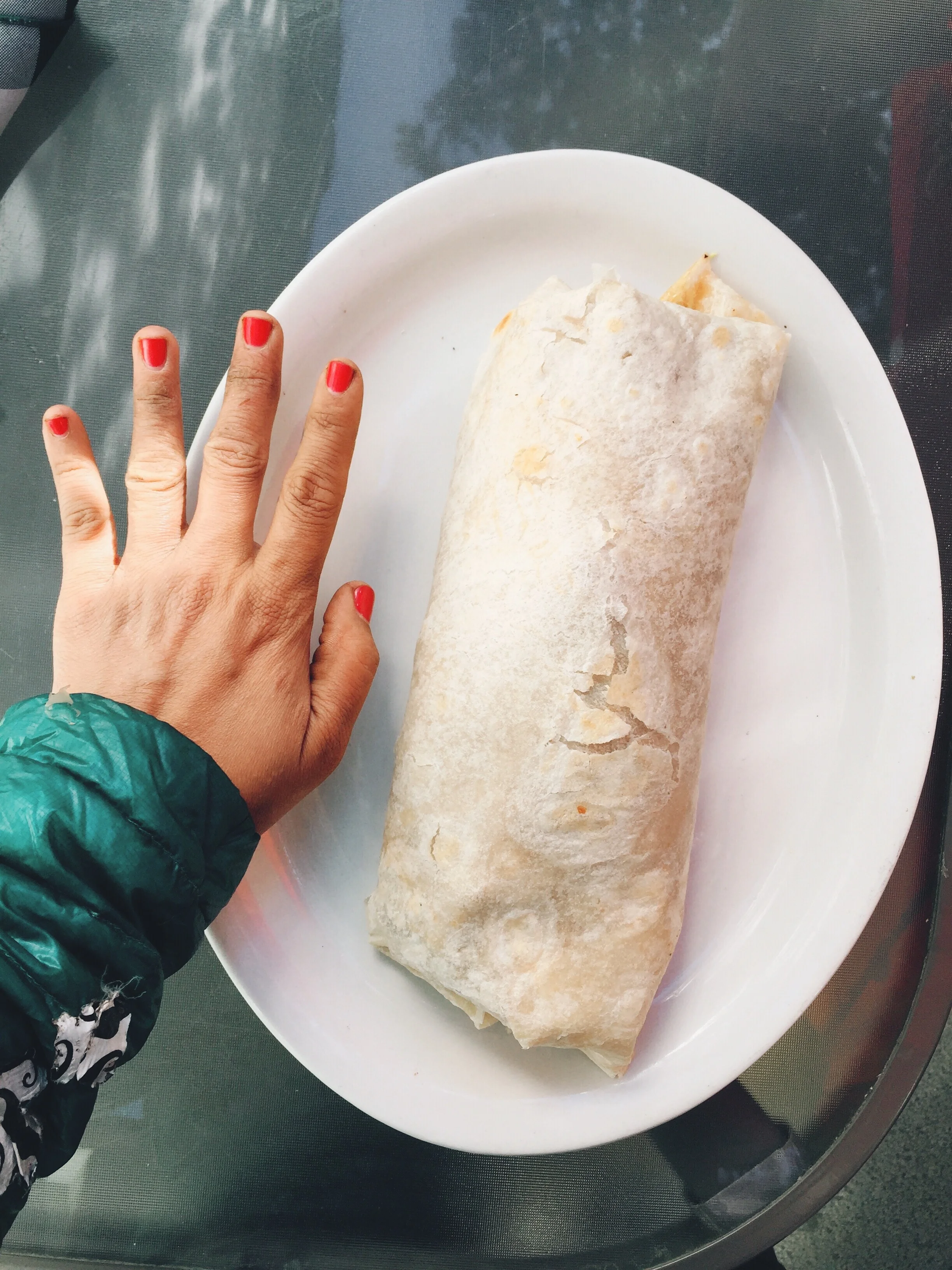 Burrito bigger than my hand.