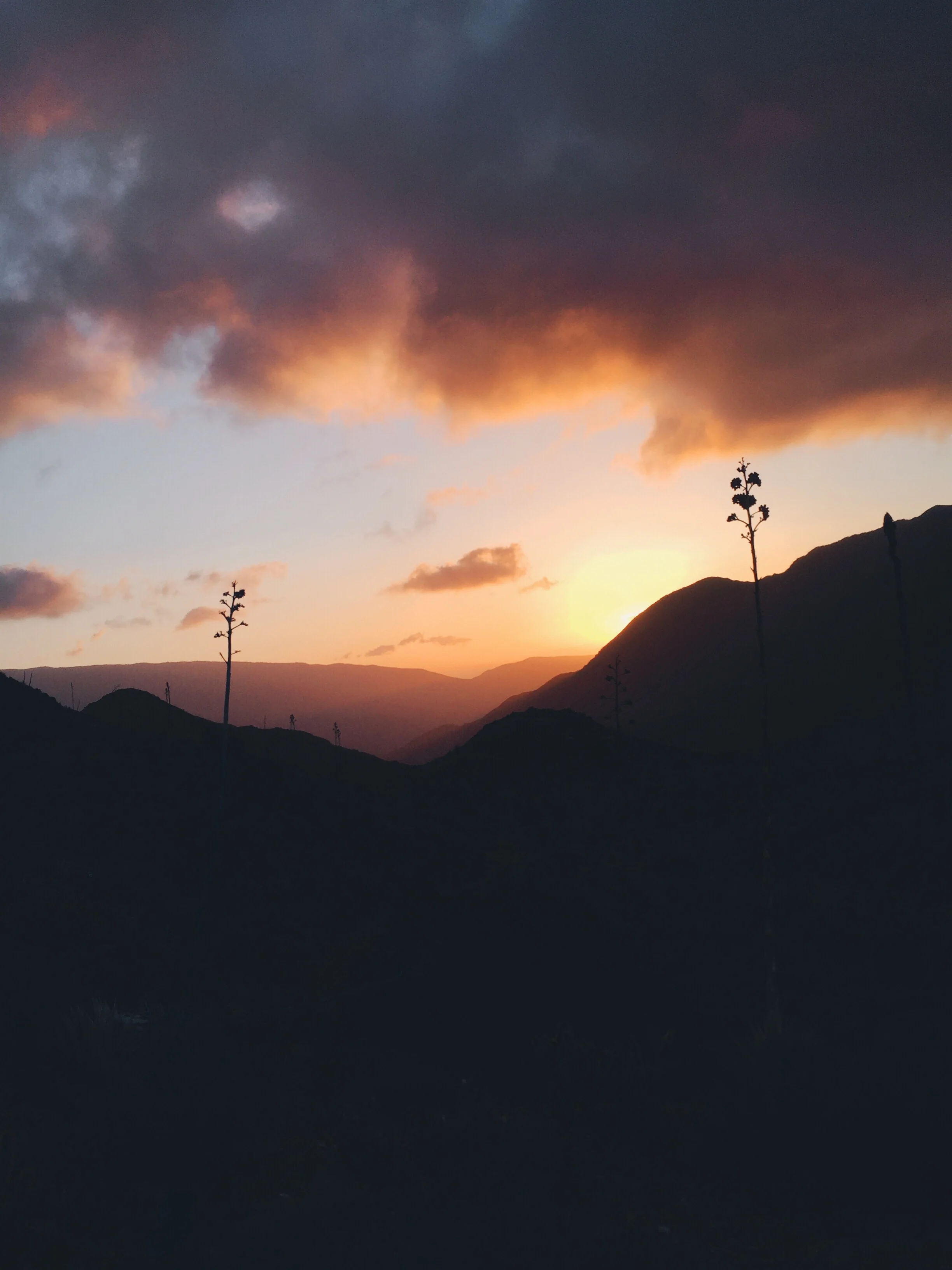 Sunrise after a windy night.
