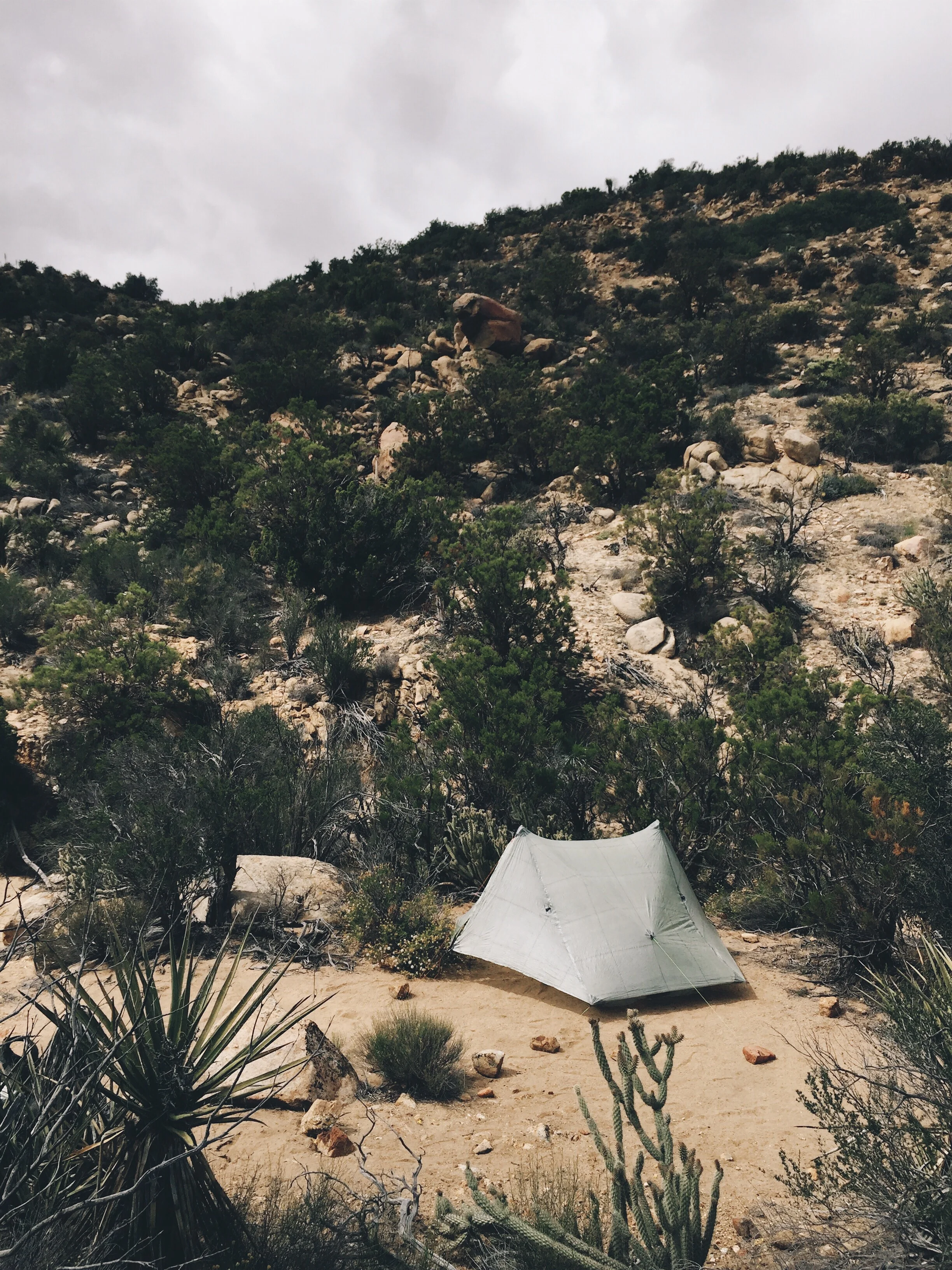My little spot in solitude.