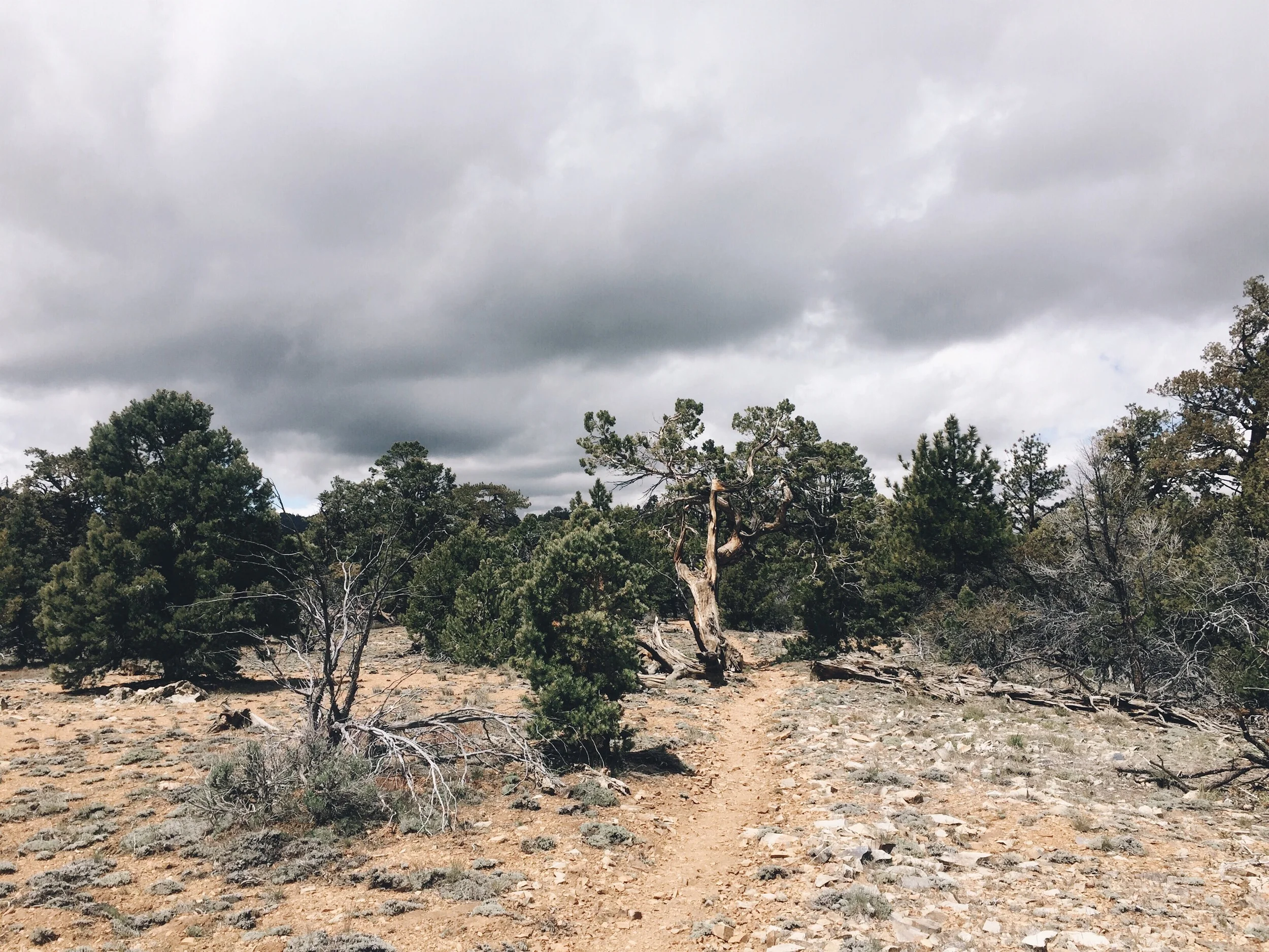 I've missed seeing cloudy skies.