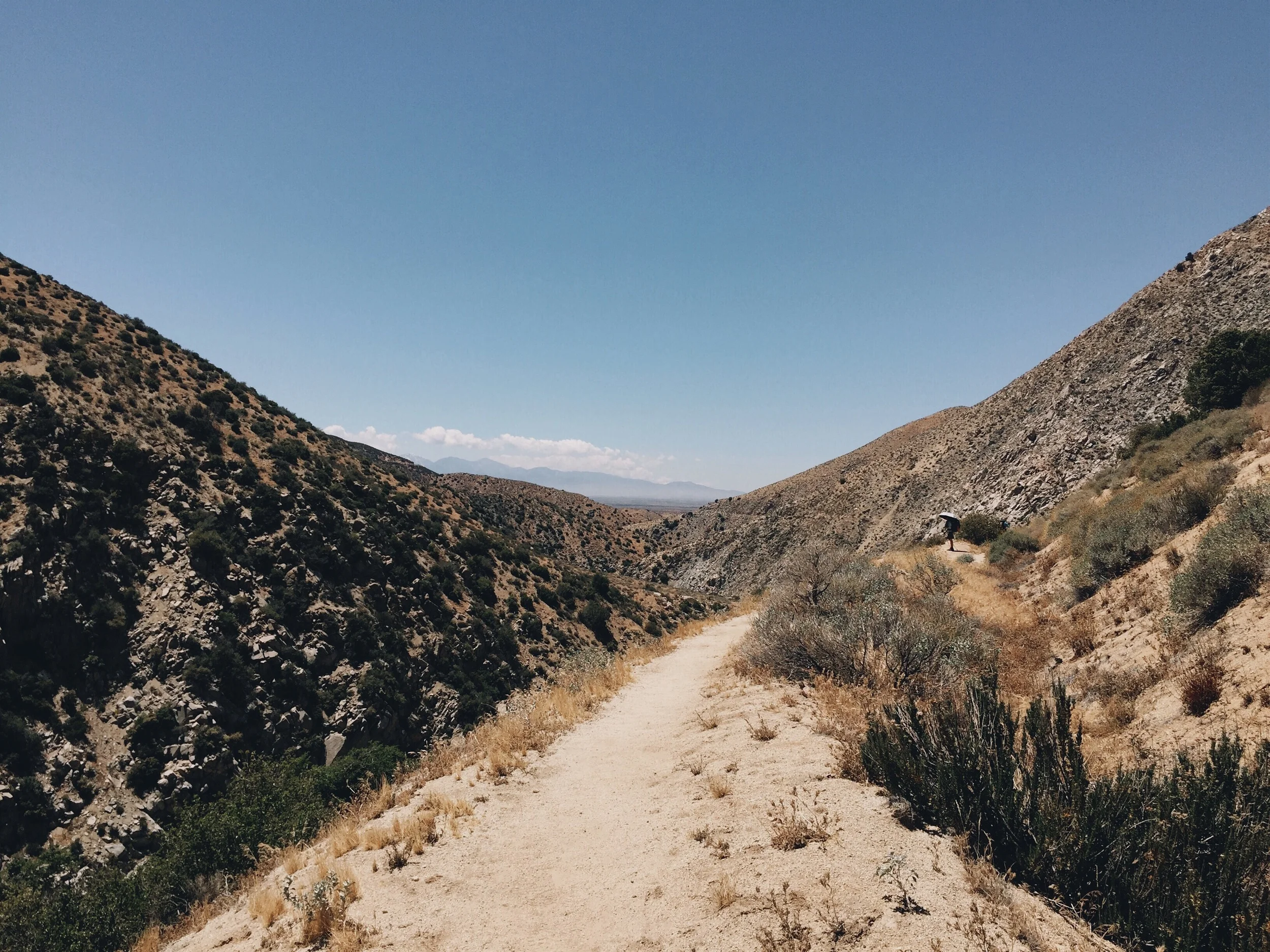 Ridge walks through the desert.